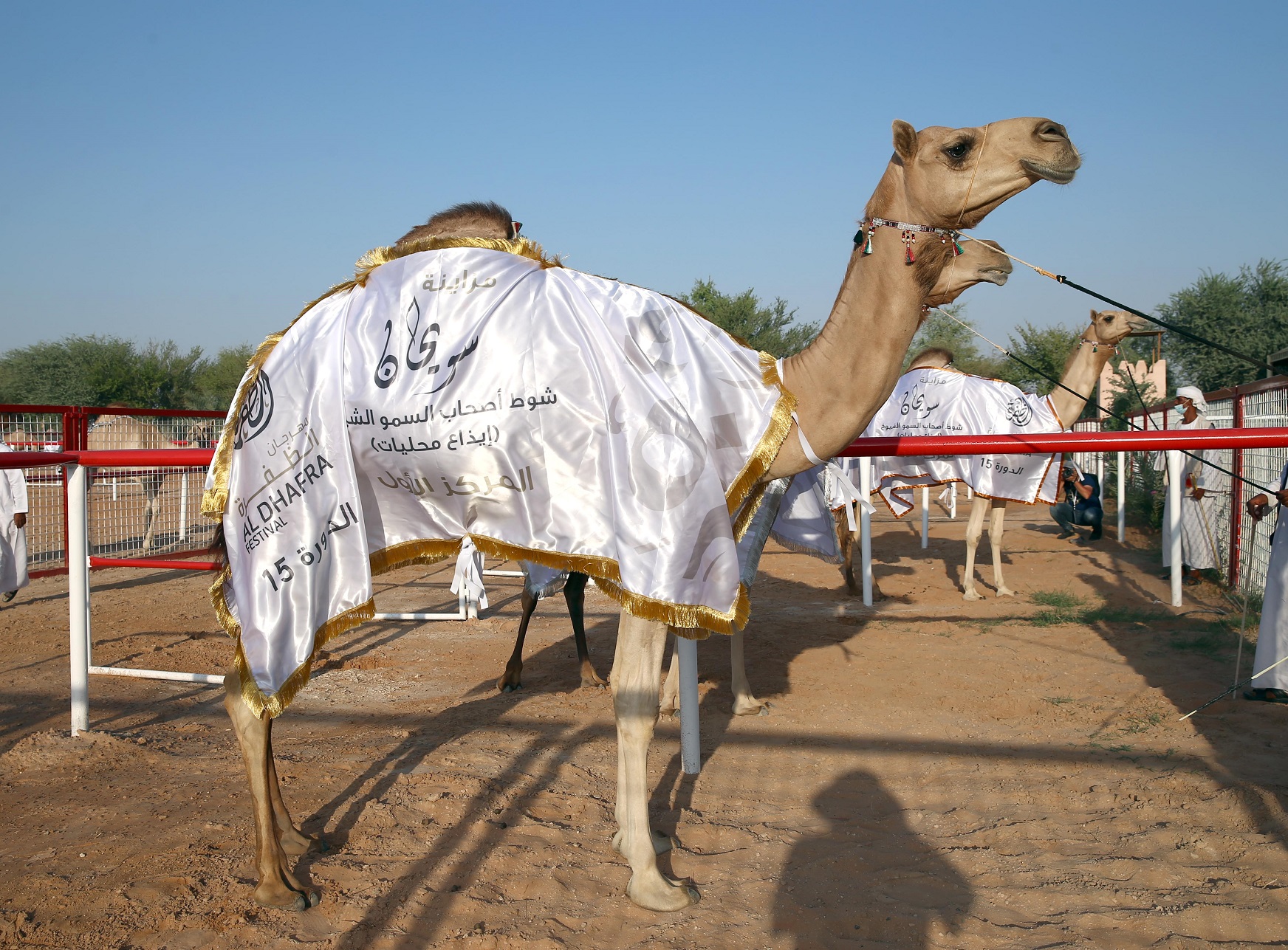 منافسات قوية تشهدها أشواط الإيذاع في مزاينة سويحان