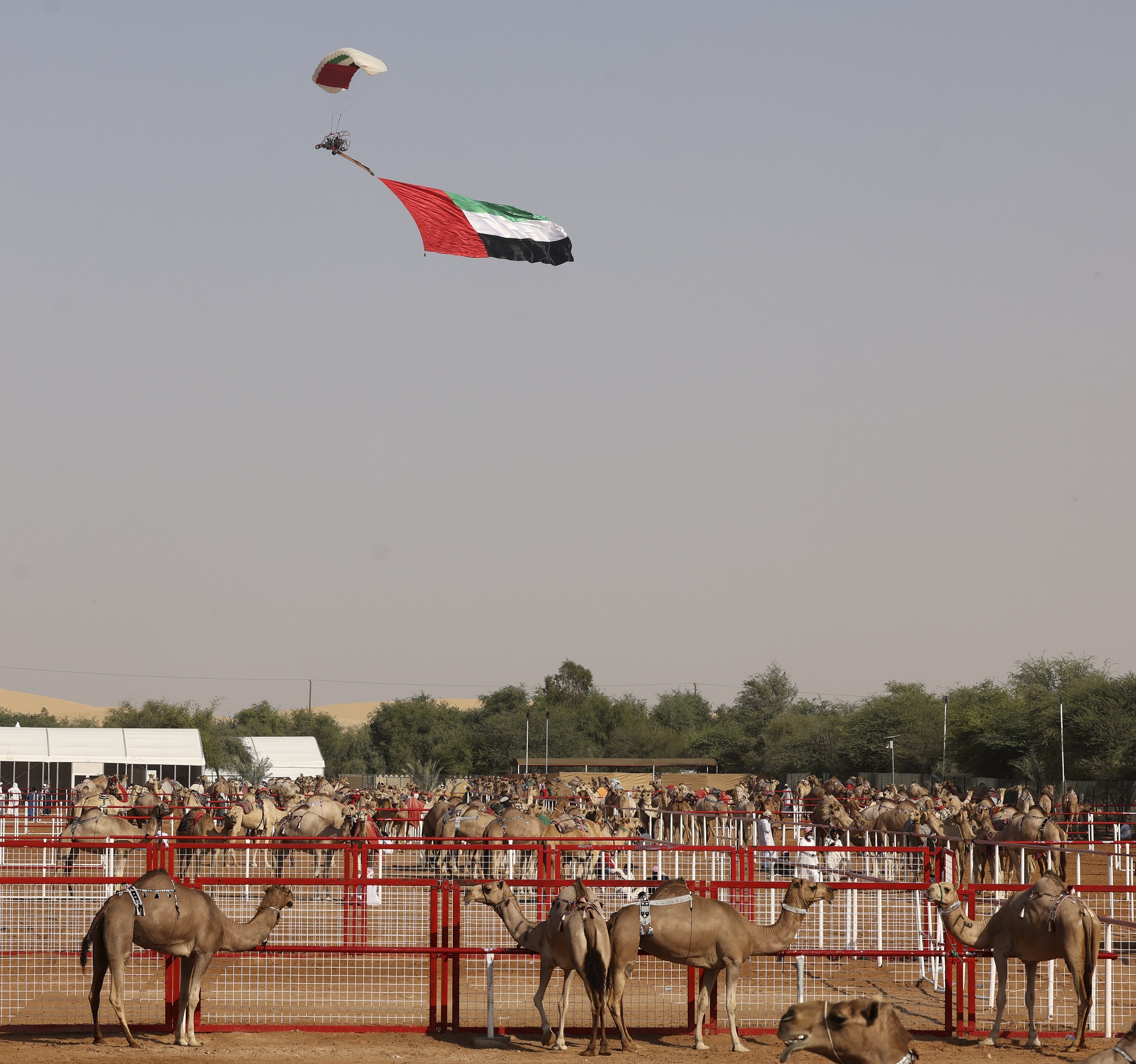 لجنة إدارة المهرجانات والبرامج الثقافية والتراثية بأبوظبي تحتفي بـ يوم العلم