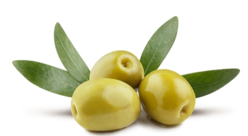 البحوث الزراعية يعلن عن منصة للبيع اون لاين في مهرجان الزيتون