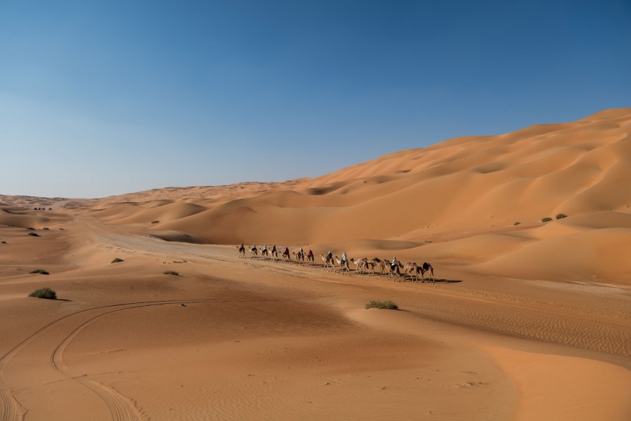 اختيار 30 مشاركاً للنسخة الثامنة من رحلة الهجن يمثلون 17 دولة  والمحطة النهائية أكسبو 2020