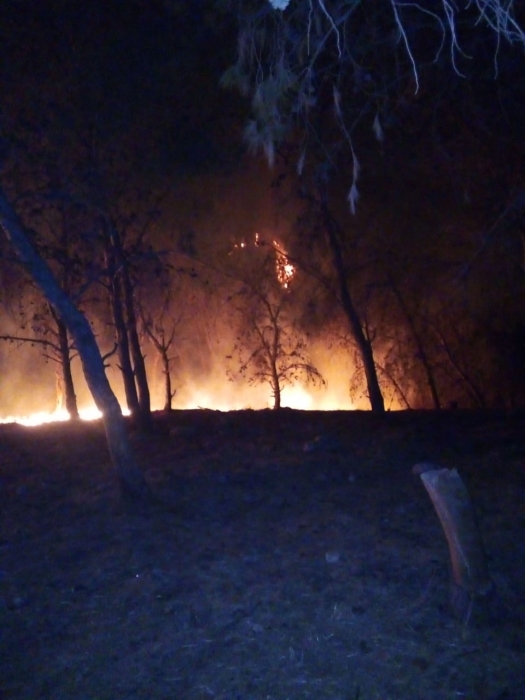 مواصلة إخماد حريق في حراج كفر عوان بالكورة