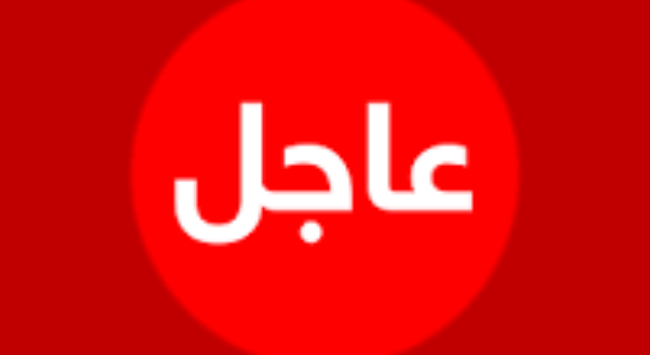 الملك: حان الوقت للارتقاء بوطننا إلى مراتب متقدمة تجعل كل الأردنيين يزدادون فخرا بانتمائهم لهذا الوطن العظيم.