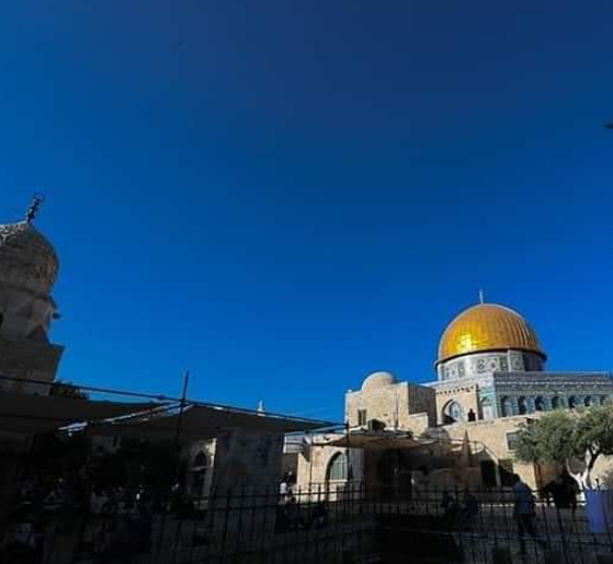 كنعان: خطاب العرش يؤكد الثوابت الأردنية تجاه فلسطين