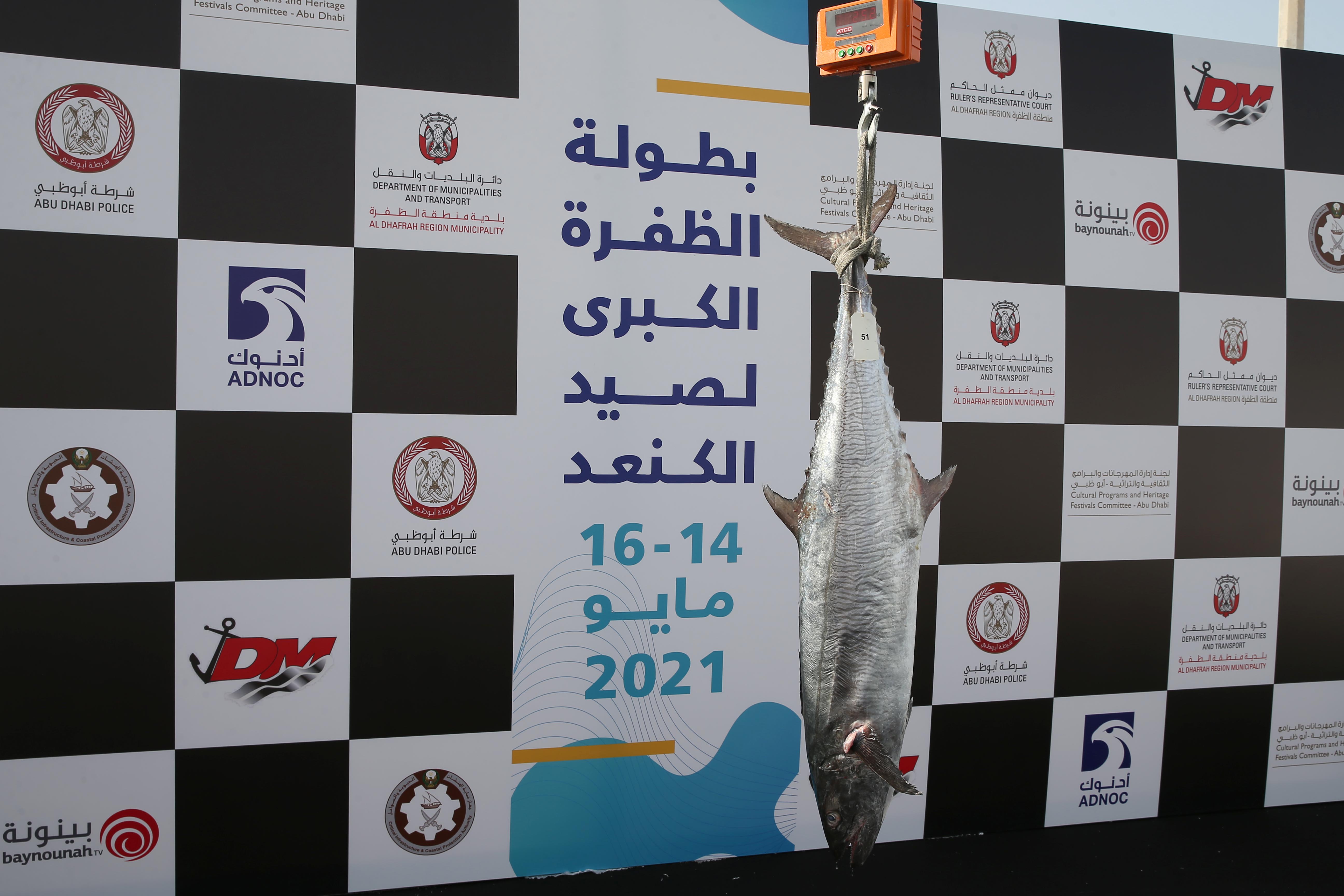 بطولة الظفرة الكبرى لصید الكنعد تنطلق 2 دیسمبر  المقبل