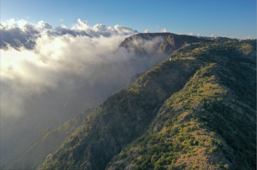 السودة للتطوير تعزز حضورها في عالم الرياضات العالمية كشريكة رئيسية لرالي داكار 2022