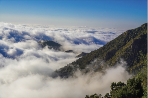 السودة للتطوير تعزز حضورها في عالم الرياضات العالمية كشريكة رئيسية لرالي داكار 2022