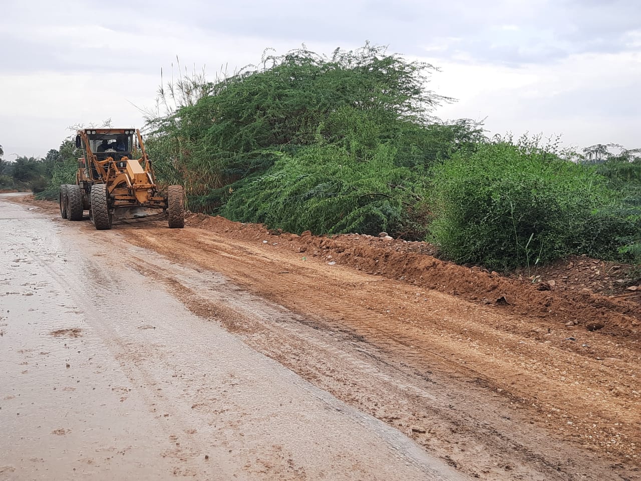 الاشغال تباشر العمل على إعادة تعبيد وتأهيل طريق الروضة الغربي في الشونة الجنوبية 
