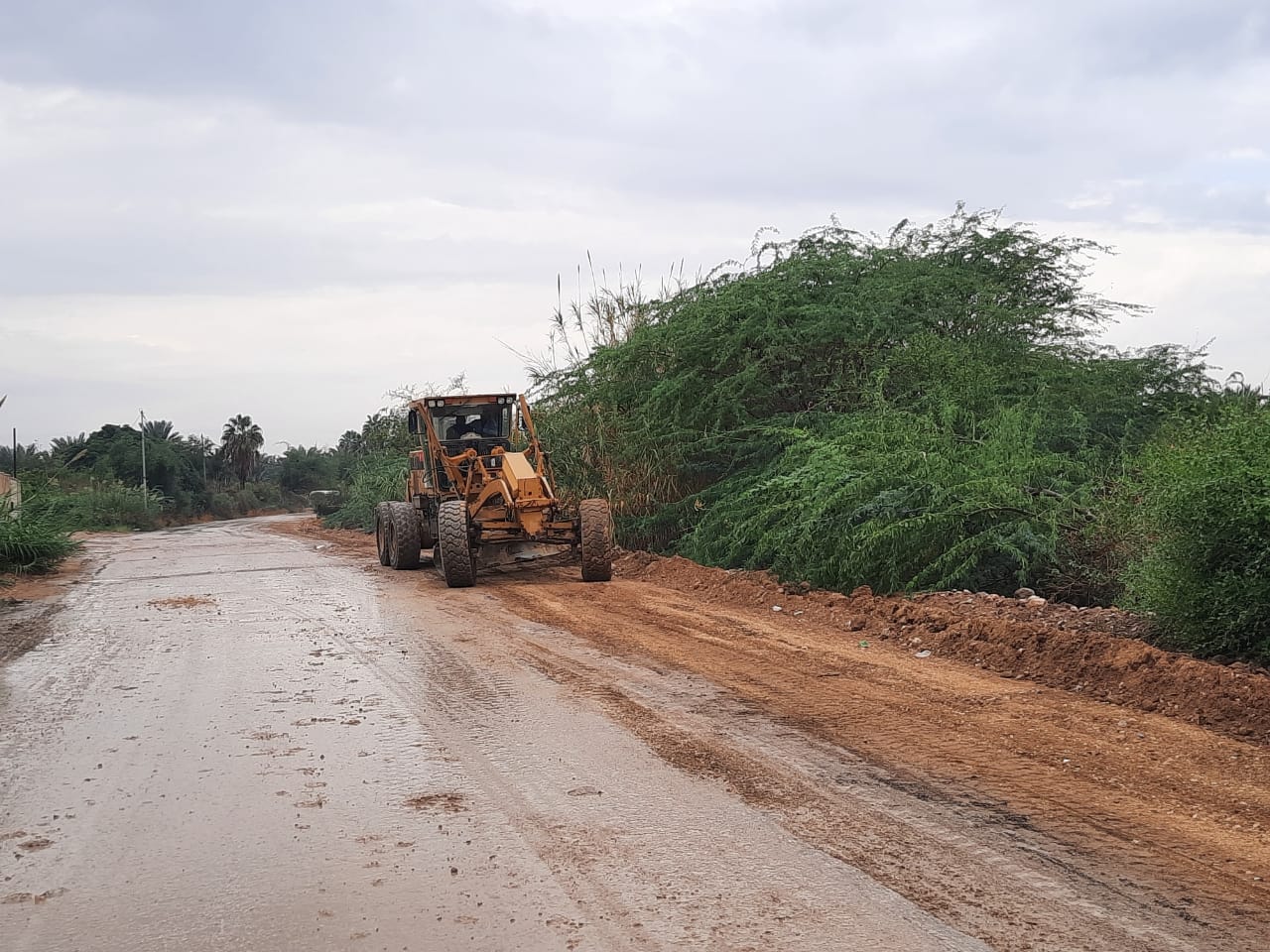 الاشغال تباشر العمل على إعادة تعبيد وتأهيل طريق الروضة الغربي في الشونة الجنوبية 