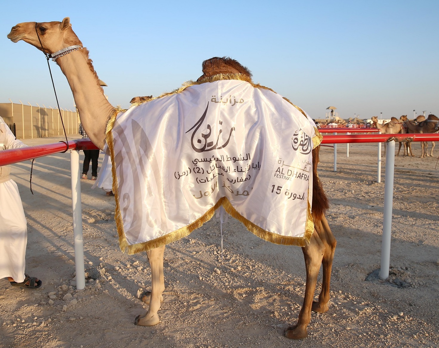 فارس المزروعي يتفقد موقع مزاينة رزين  بمهرجان الظفرة