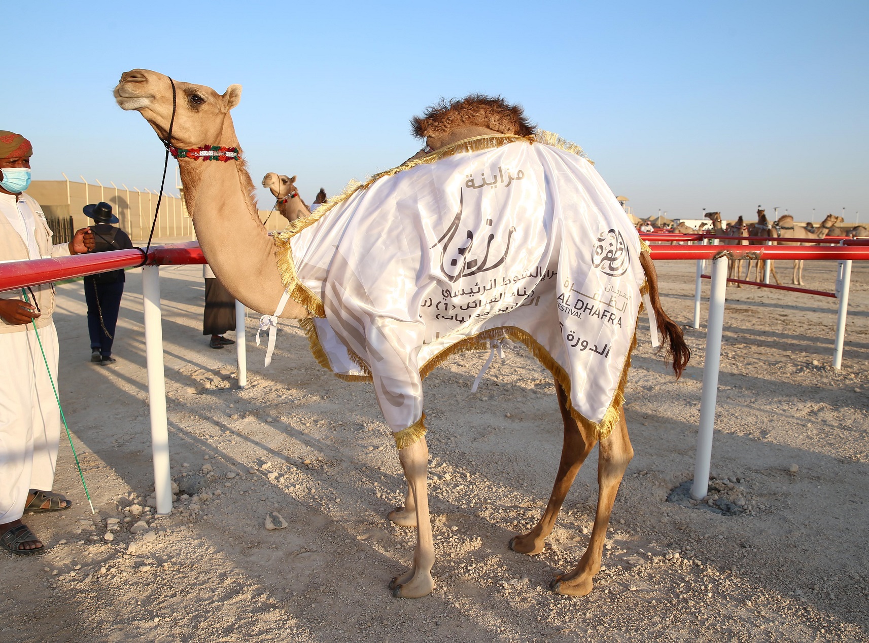 فارس المزروعي يتفقد موقع مزاينة رزين  بمهرجان الظفرة