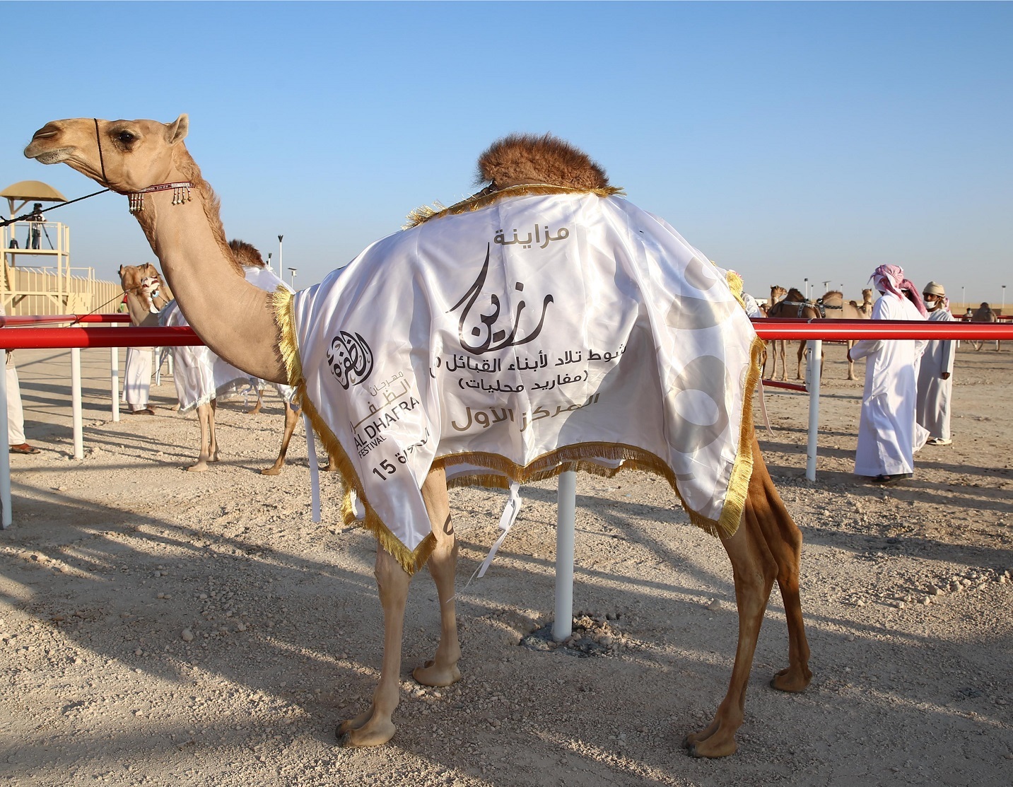 فارس المزروعي يتفقد موقع مزاينة رزين  بمهرجان الظفرة