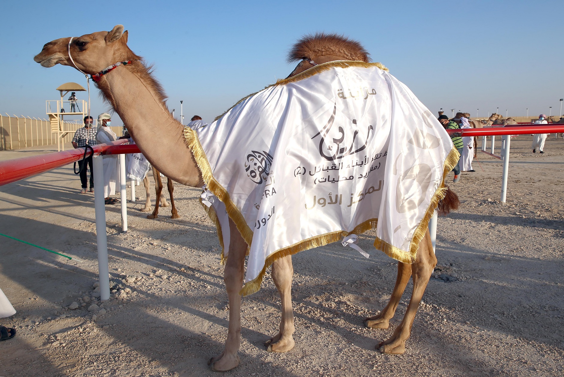 فارس المزروعي يتفقد موقع مزاينة رزين  بمهرجان الظفرة