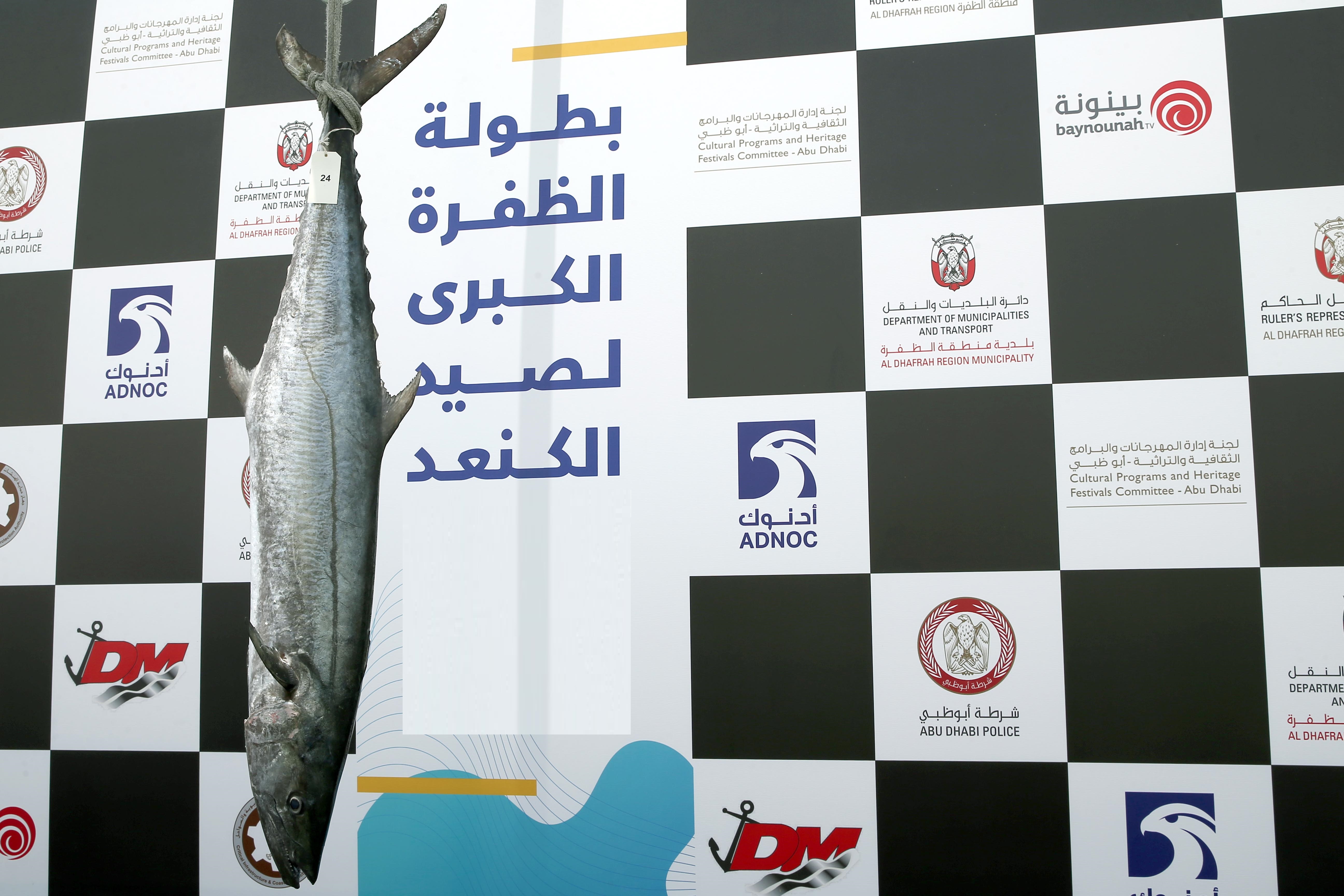 بطولة الظفرة الكبرى لصيد الكنعد تخفض وزن المشاركة لفئة النساء