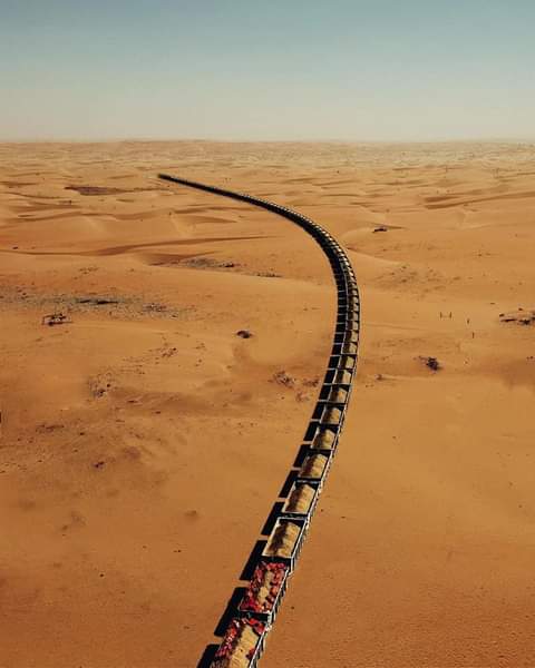 أطول قطار في العالم الذي لم يصنع للركاب العاديين.