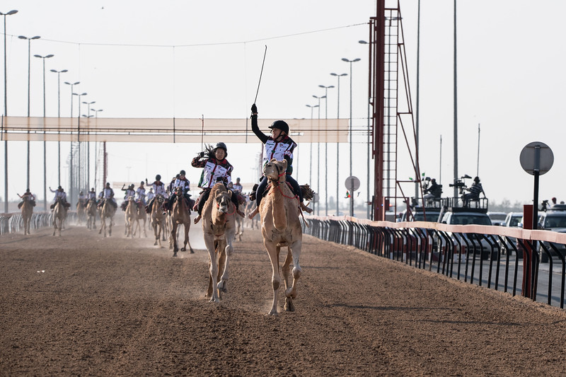 32 مشاركاً من 18 دولة في السباق التمهيدي الثاني لماراثون اليوم الوطني لرحلة الهجن للأجانب
