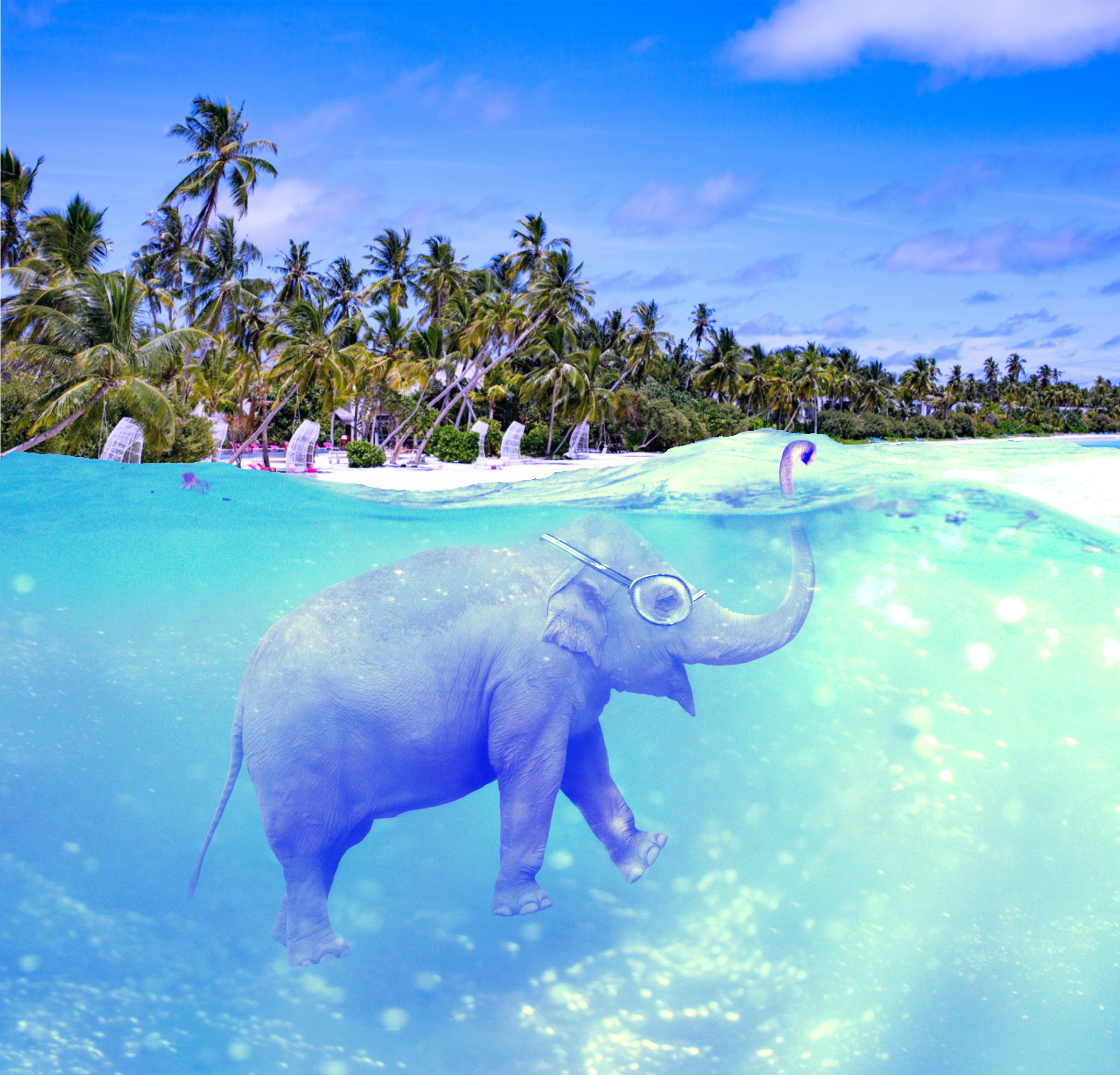 انغمس في عالم من الخيال Imaginarium مع كانديما المالديف خلال موسم الأعياد!