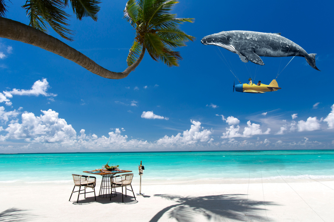 انغمس في عالم من الخيال Imaginarium مع كانديما المالديف خلال موسم الأعياد!