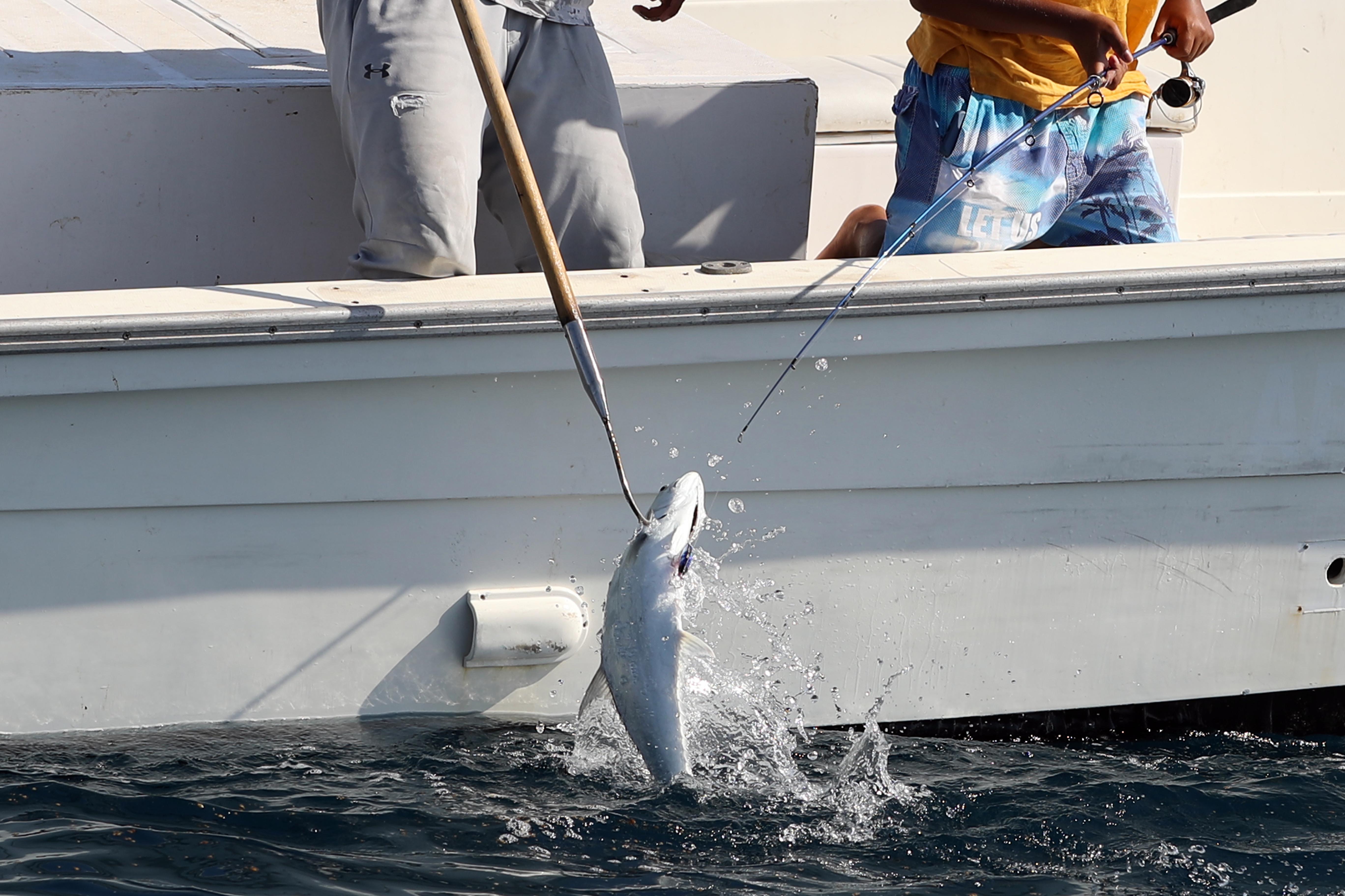 برعاية حمدان بن زايد .. مهرجان السلع البحري ينطلق غداً الخميس