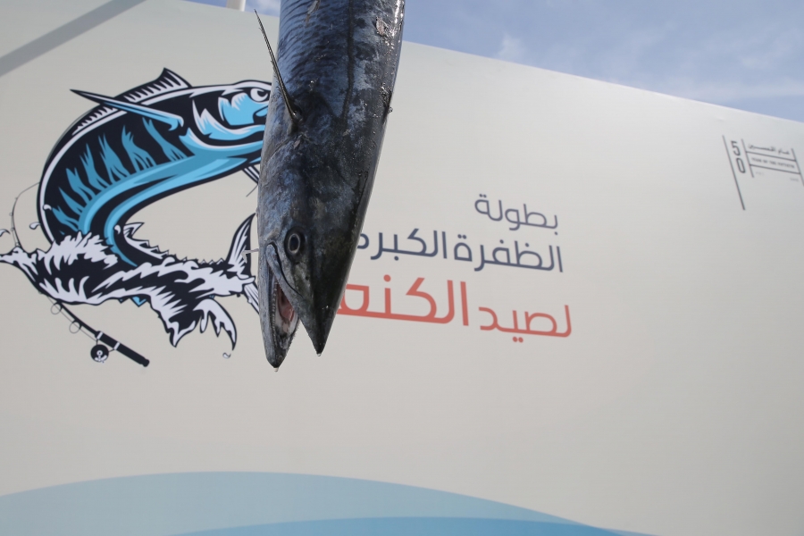 529 مشارك في بطولة دلما ضمن بطولة الظفرة الكبرى لصيد الكنعد