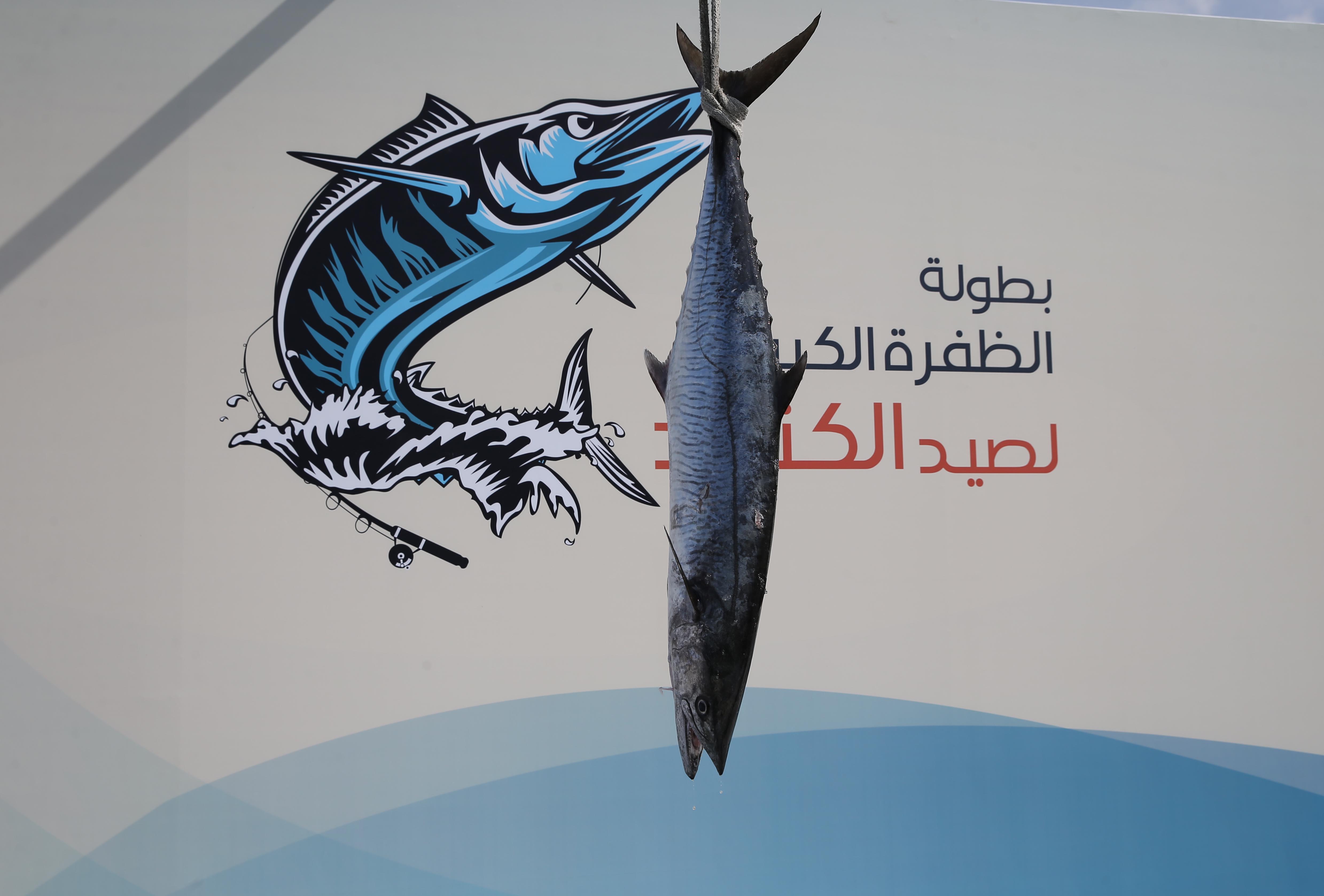 529 مشارك في بطولة دلما ضمن بطولة الظفرة الكبرى لصيد الكنعد