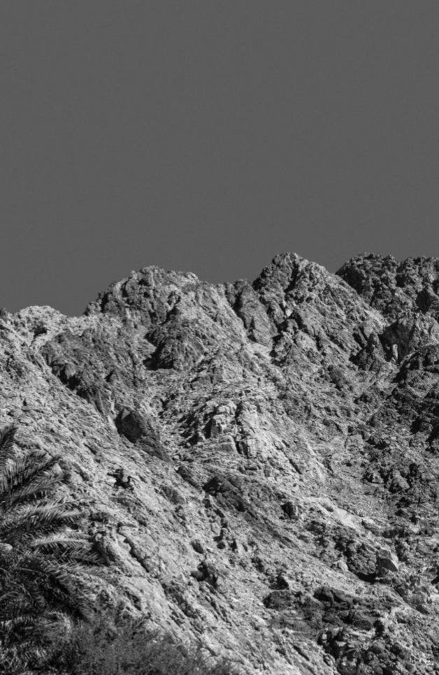 تقرير معهد مجالس الإدارات في دول مجلس التعاون الخليجي: تزايد الضغط على مجالس الإدارات الخليجية للتوافق مع المعايير العالمية