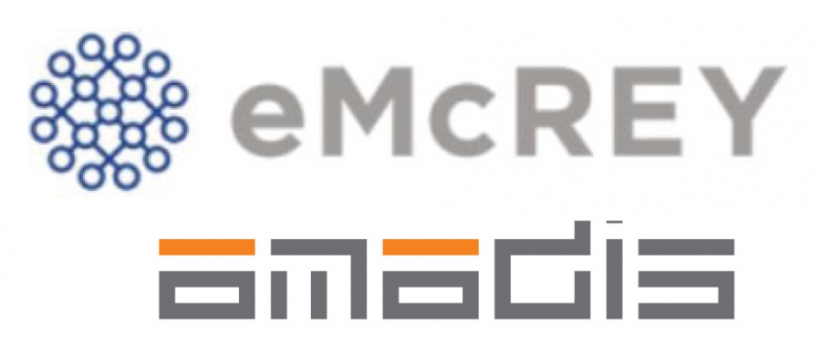 إي مكراي تختار أمادیس من أجل حل الدفع سوفت بیھ أو إس