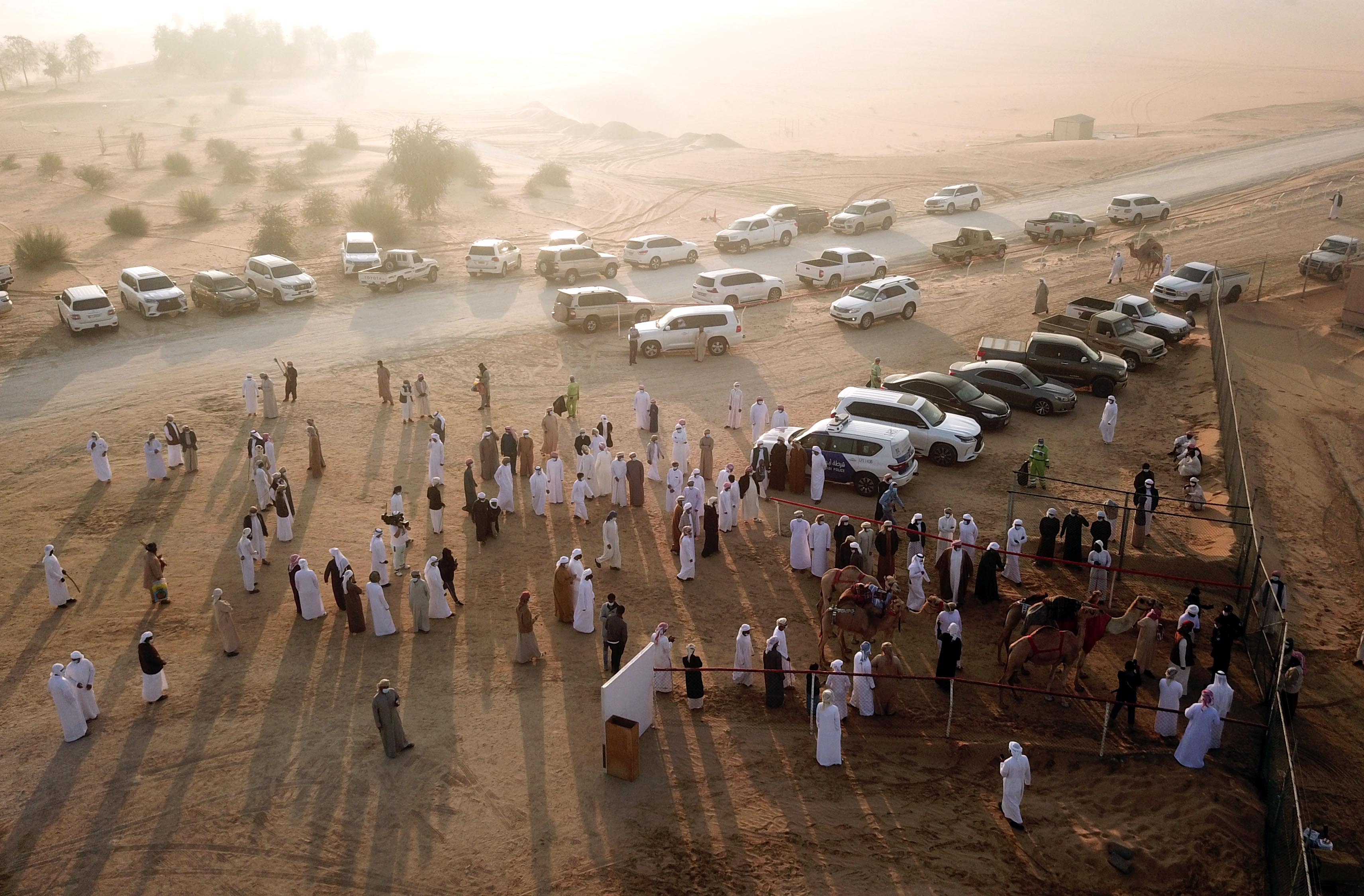مزاينة مدينة زايد في مهرجان الظفرة 15 تبدأ استقبال قوافل الإبل