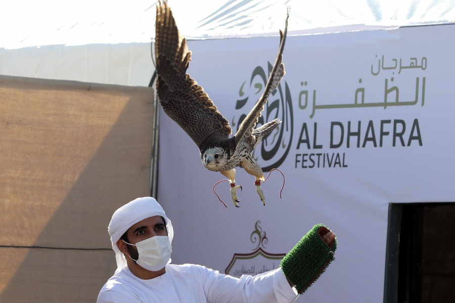 مسابقة الصيد بالصقور في مهرجان الظفرة 15 تنطلق غداً الخميس