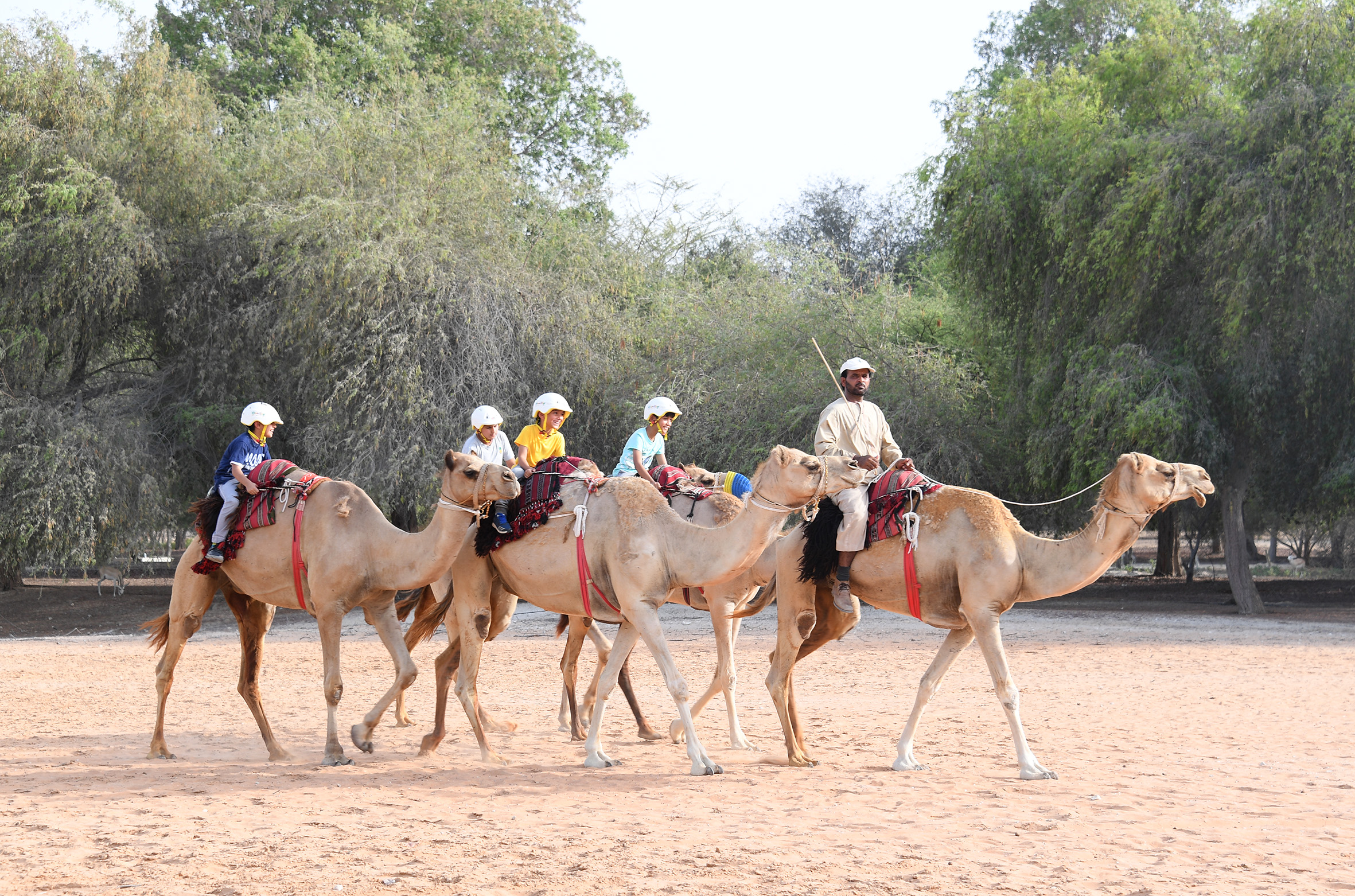  ملتقى السمالية الربيعي ينطلق غداً