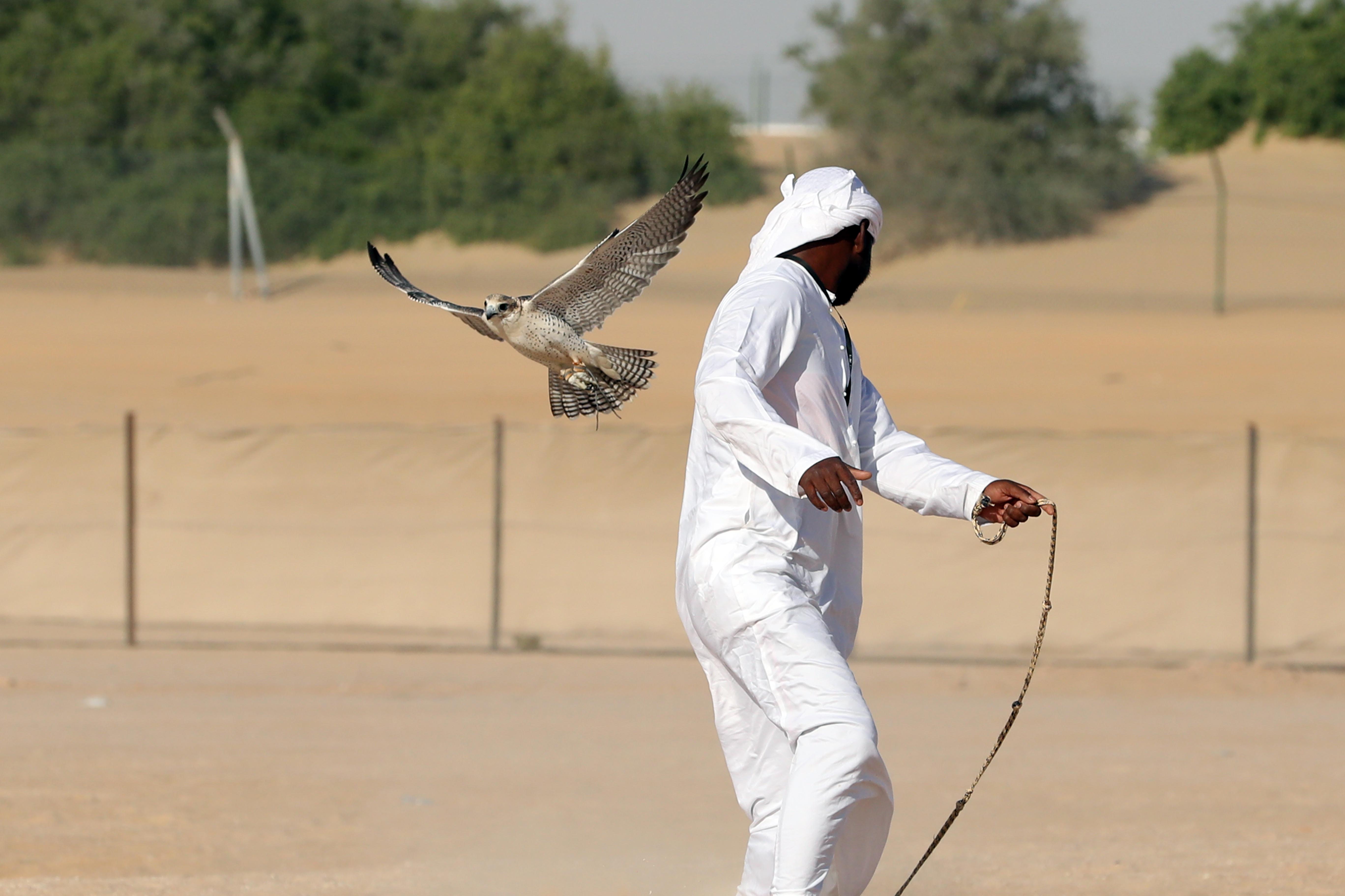 فارس المزروعي يتفقد موقع مزاينة مدينة زايد وميدان الصقور بمهرجان الظفرة