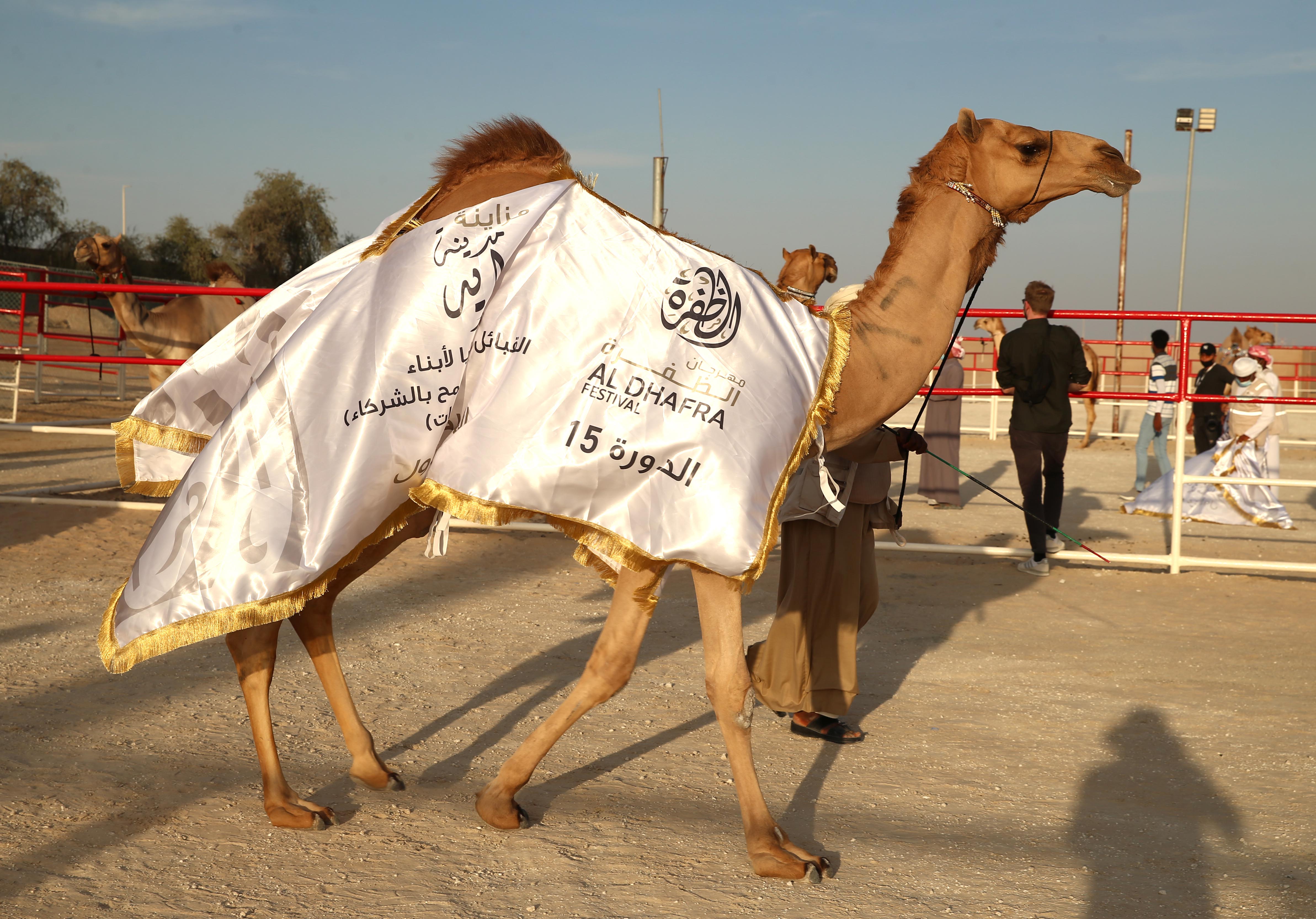 فارس المزروعي يتفقد موقع مزاينة مدينة زايد وميدان الصقور بمهرجان الظفرة