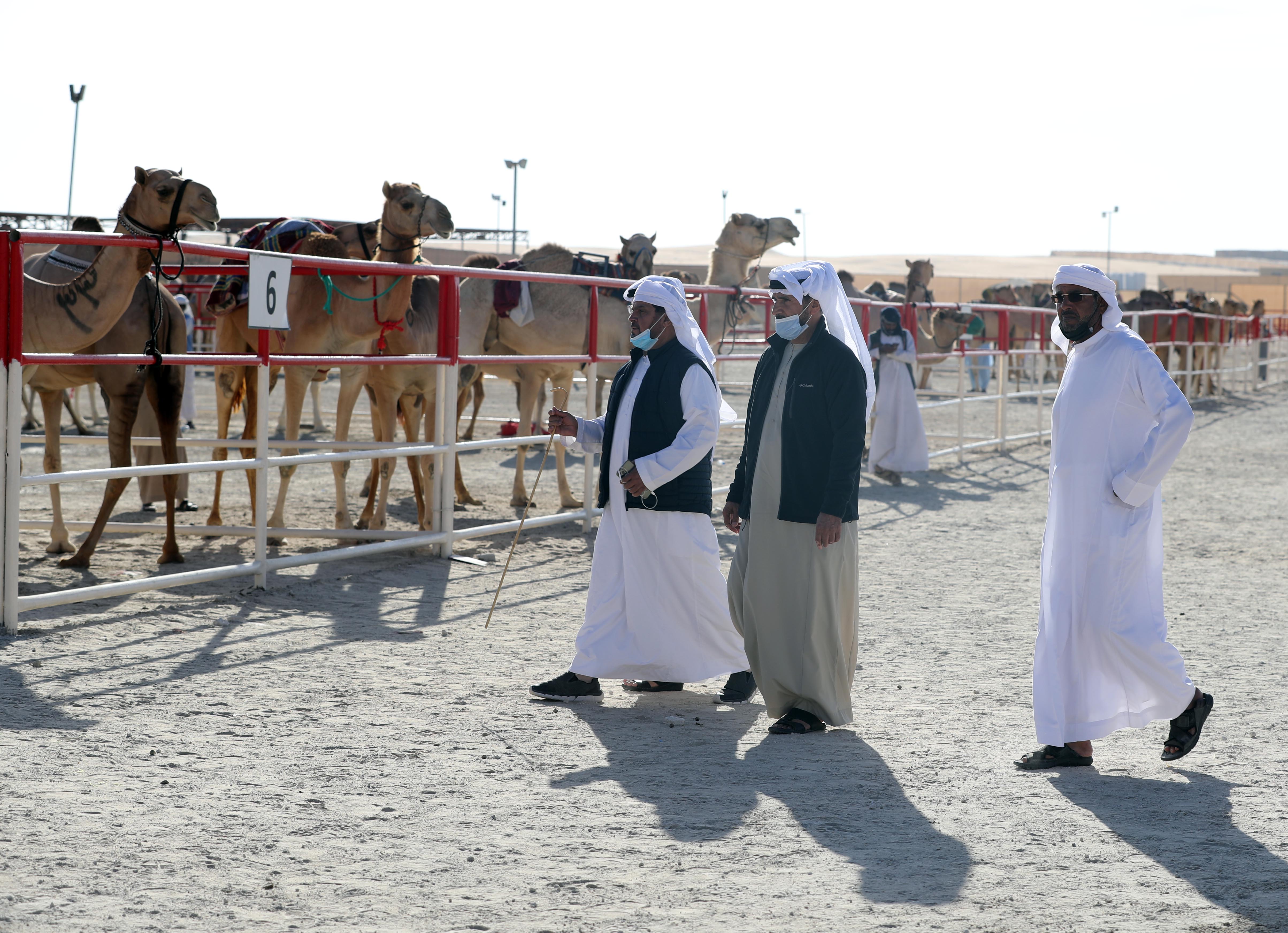 فارس المزروعي يتفقد موقع مزاينة مدينة زايد وميدان الصقور بمهرجان الظفرة