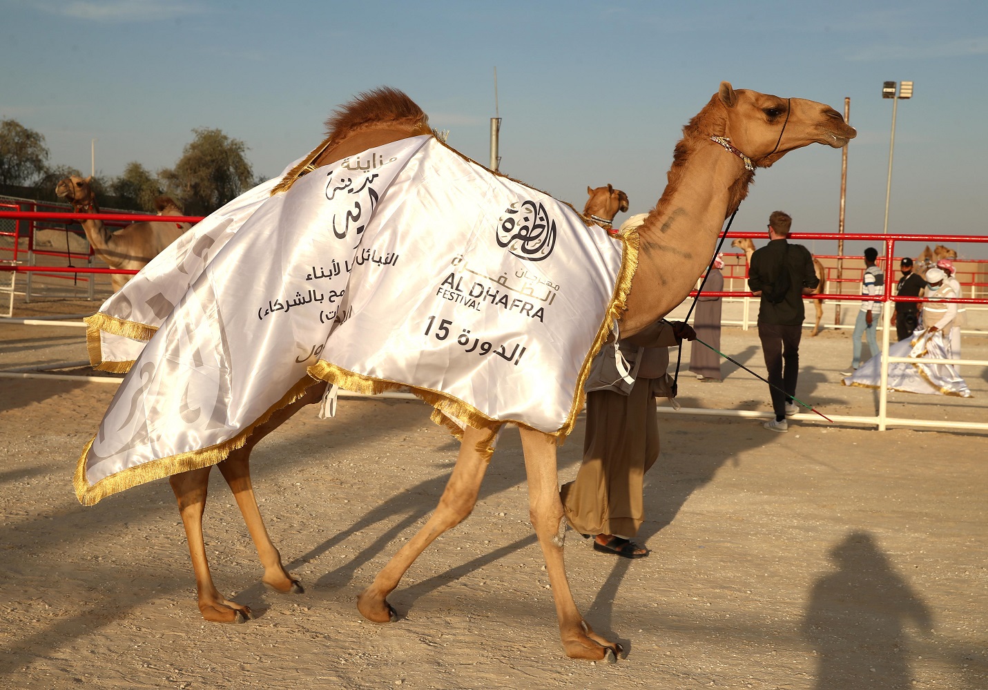 فارس المزروعي يتفقد موقع مزاينة مدينة زايد وميدان الصقور بمهرجان الظفرة