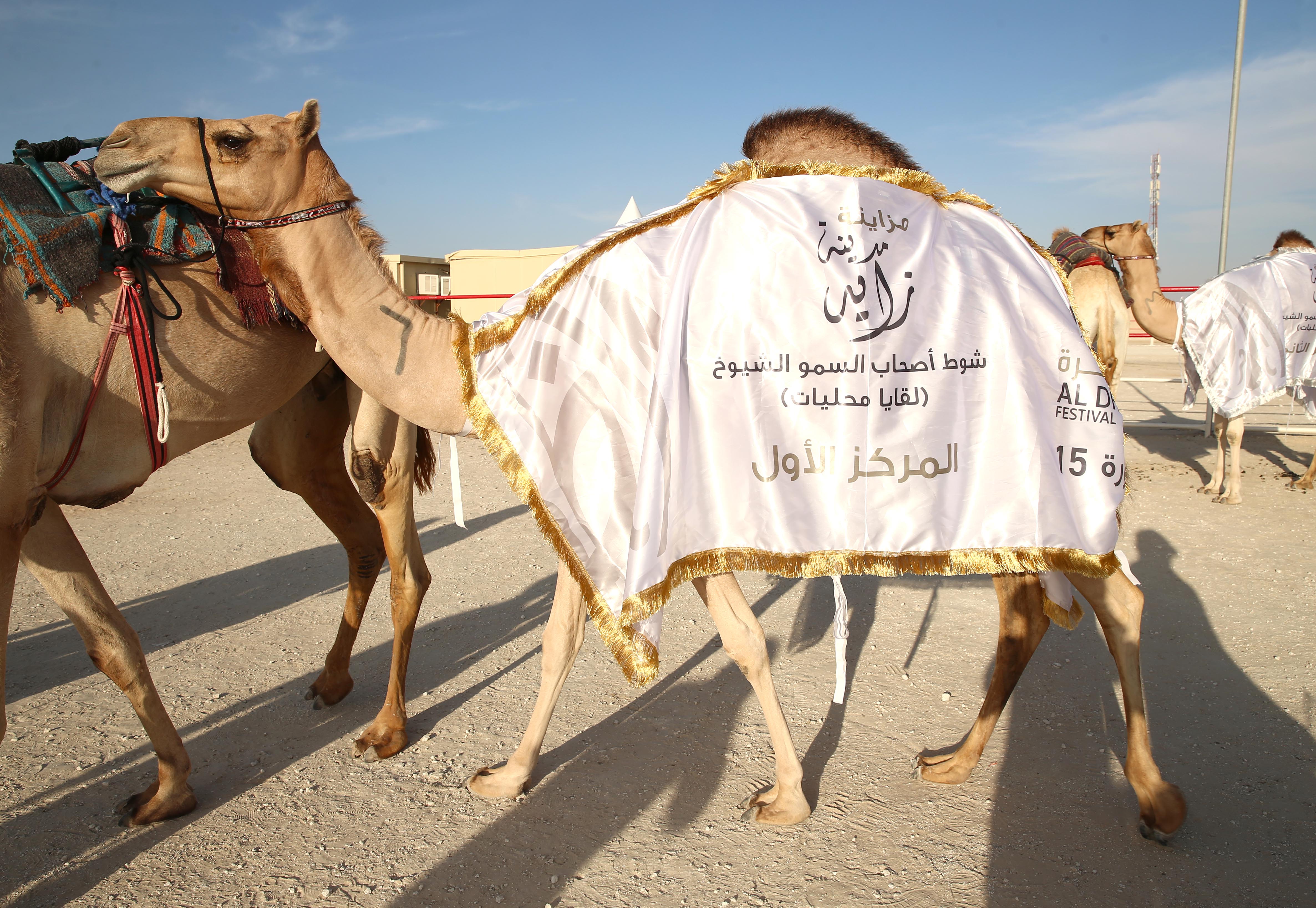 فارس المزروعي يتفقد موقع مزاينة مدينة زايد وميدان الصقور بمهرجان الظفرة