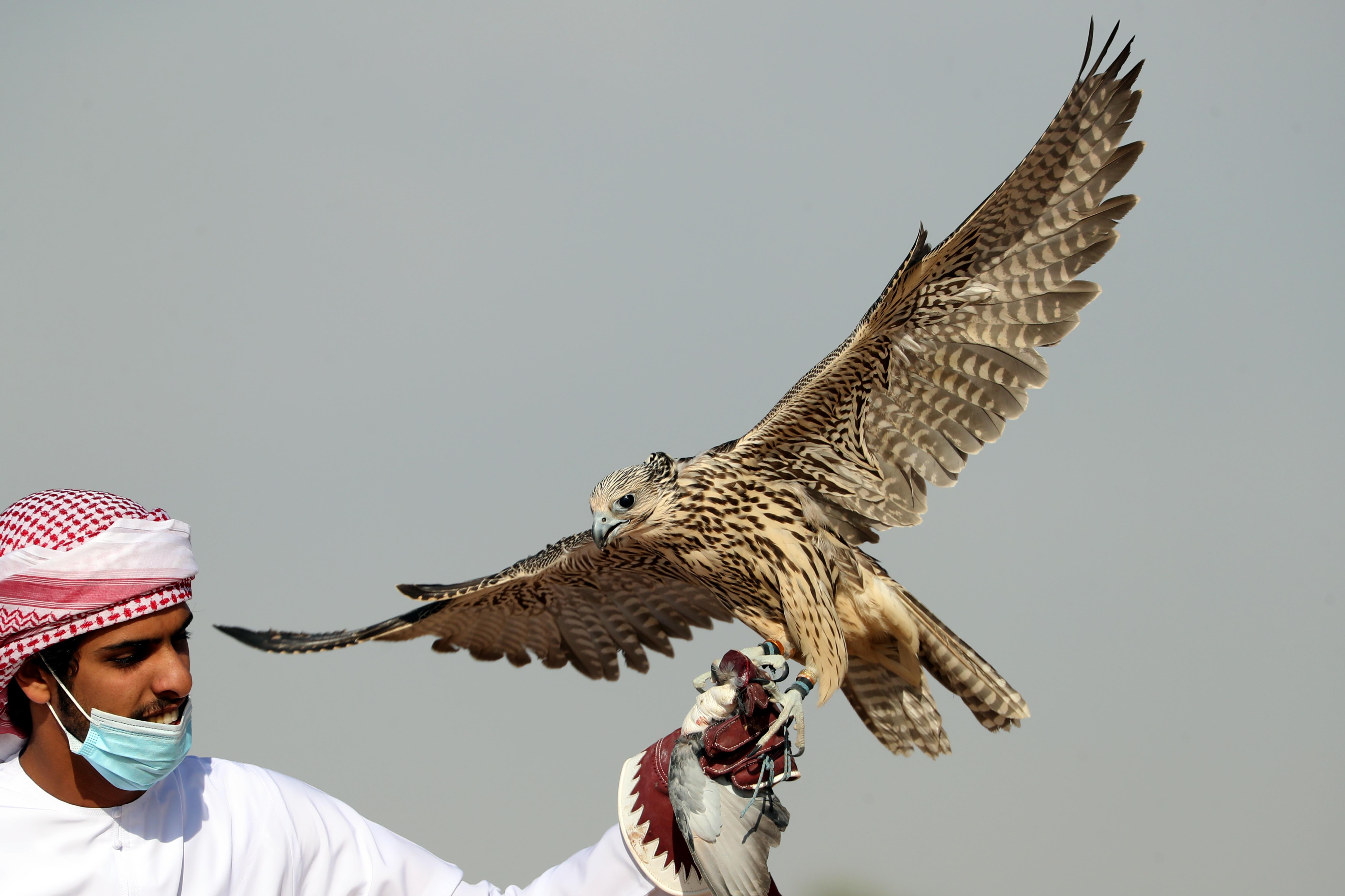 فارس المزروعي يتفقد موقع مزاينة مدينة زايد وميدان الصقور بمهرجان الظفرة