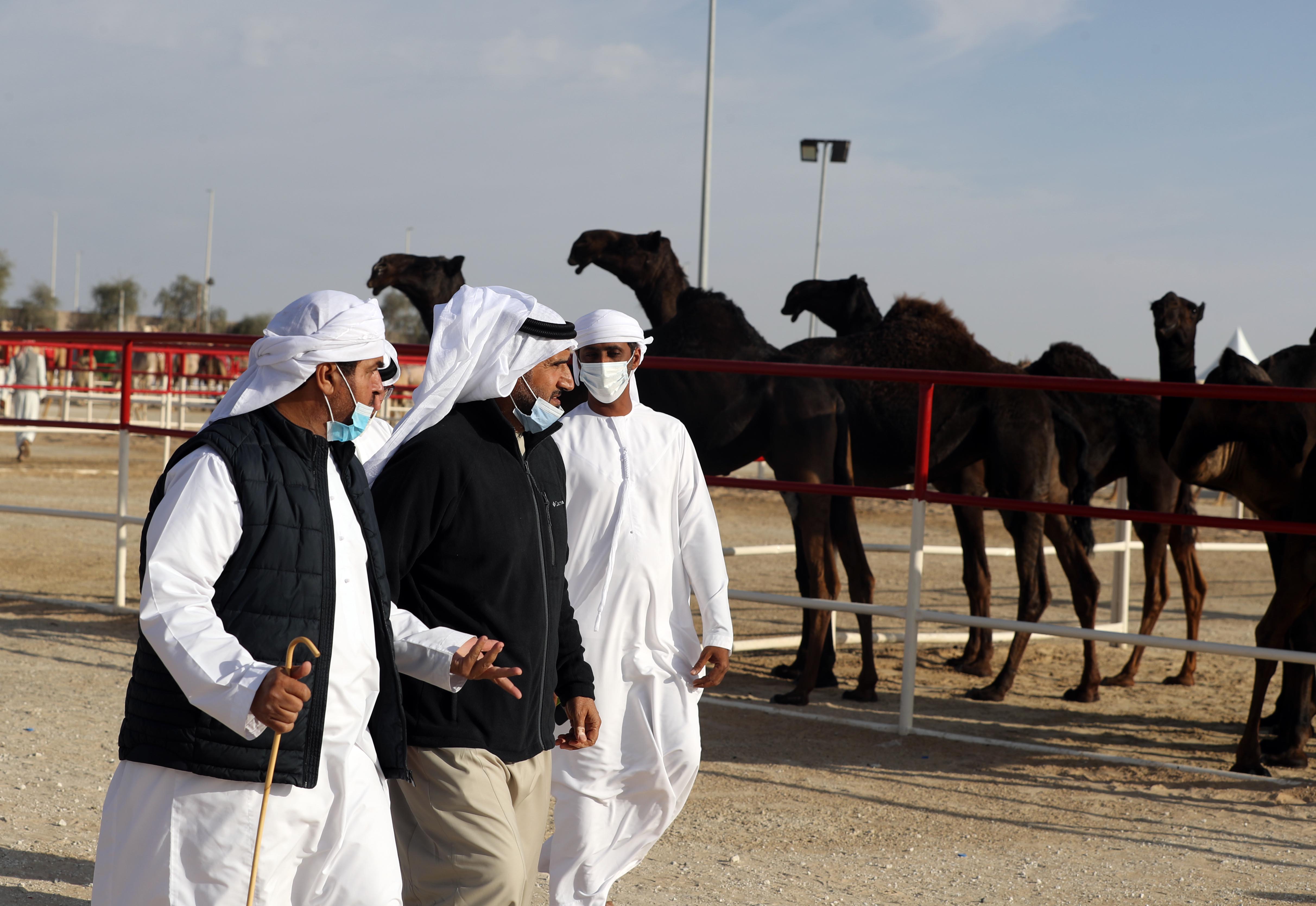 فارس المزروعي يتفقد موقع مزاينة مدينة زايد وميدان الصقور بمهرجان الظفرة