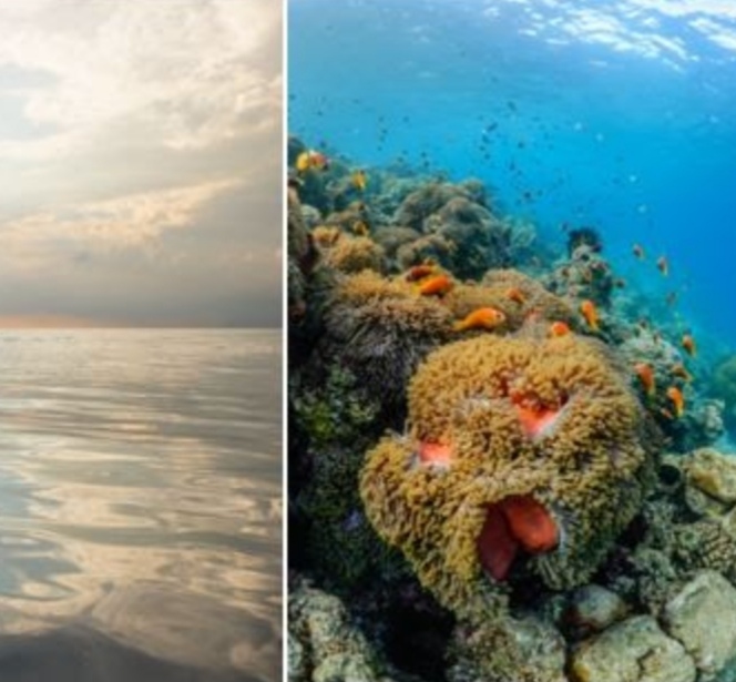 أهم خمسة أسباب تجعلك تزور  منتجع دبليو جزر المالديف (W Maldives) الساحر