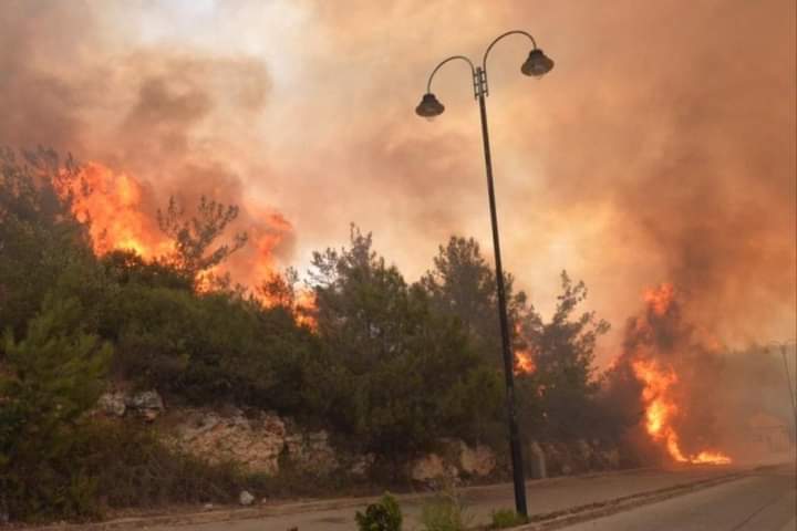 لبنان: الحرائق تتسبب بآثار مدمرة على البيئة الطبيعية