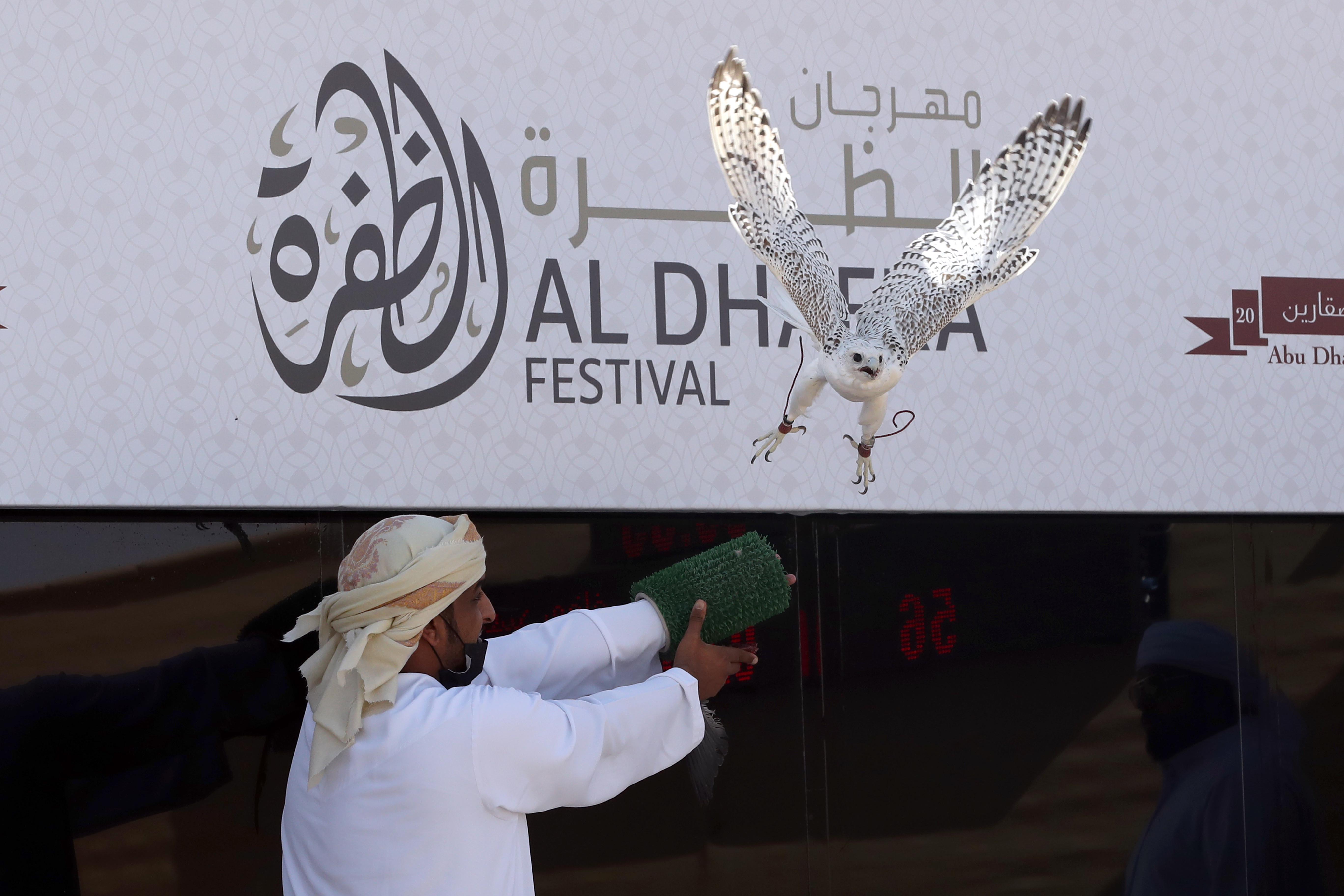 تتويج أشواط الثنايا المحليات والحقايق المجاهيم بمزاينة مدينة زايد للإبل