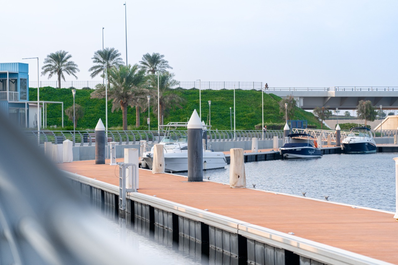 الزورا تستقبل العام الجدید بعرض مذھل للألعاب  الناریة في عجمان