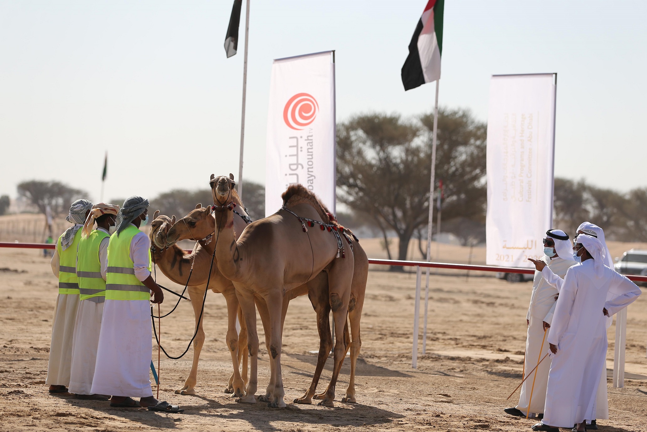 مهرجان محمد بن زايد لسباقات الهجن ومزاينة الإبل يعلن عن دليل المشاركين في المزاينة