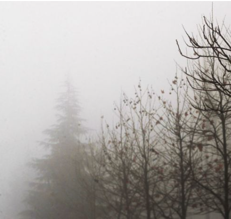 “الأرصاد” تحذر من تشكل الصقيع صباح الجمعة