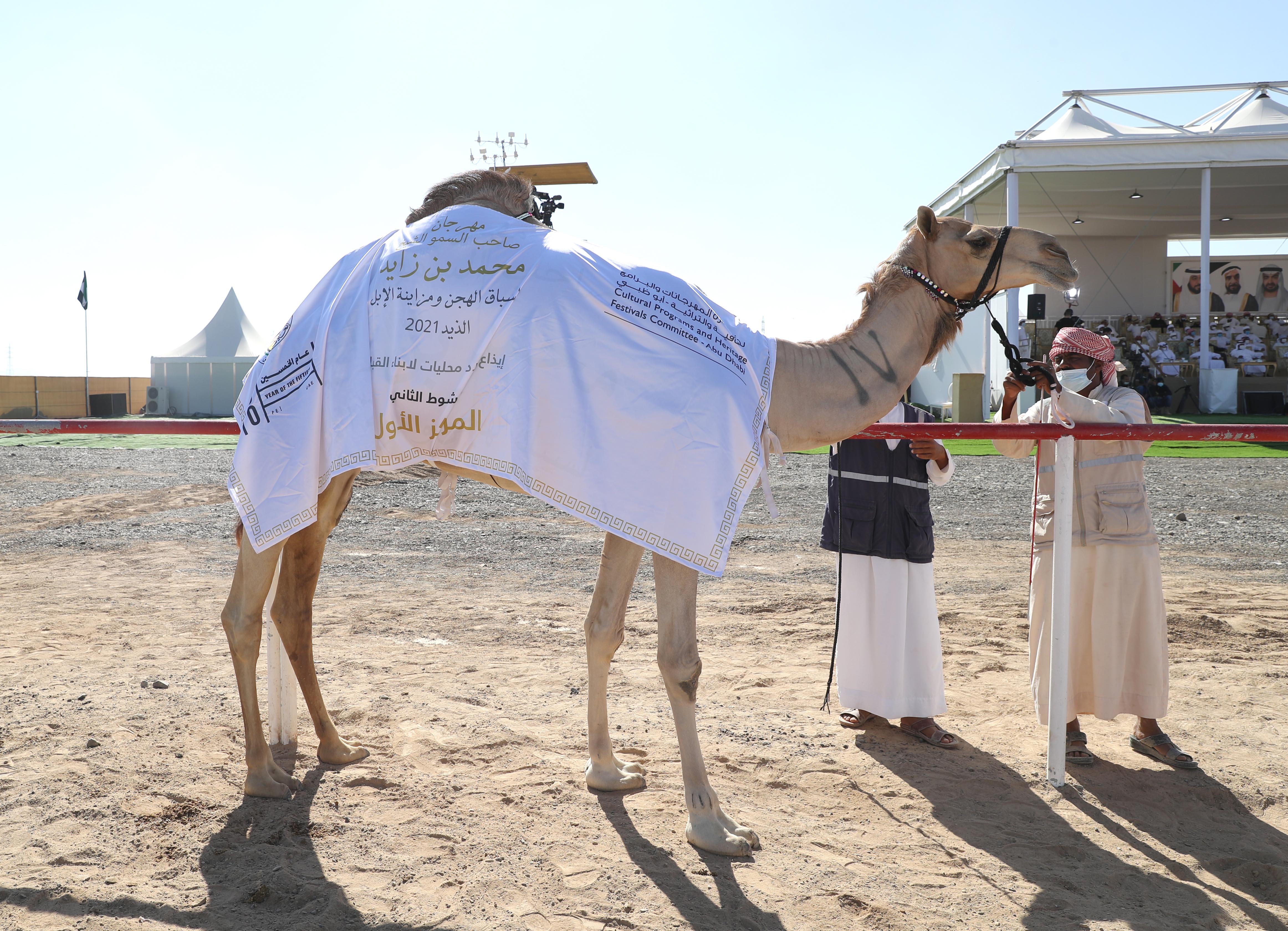 فارس المزروعي يتفقد  مزاينة الإبل في مهرجان محمد بن زايد لسباق الهجن ومزاينة الإبل