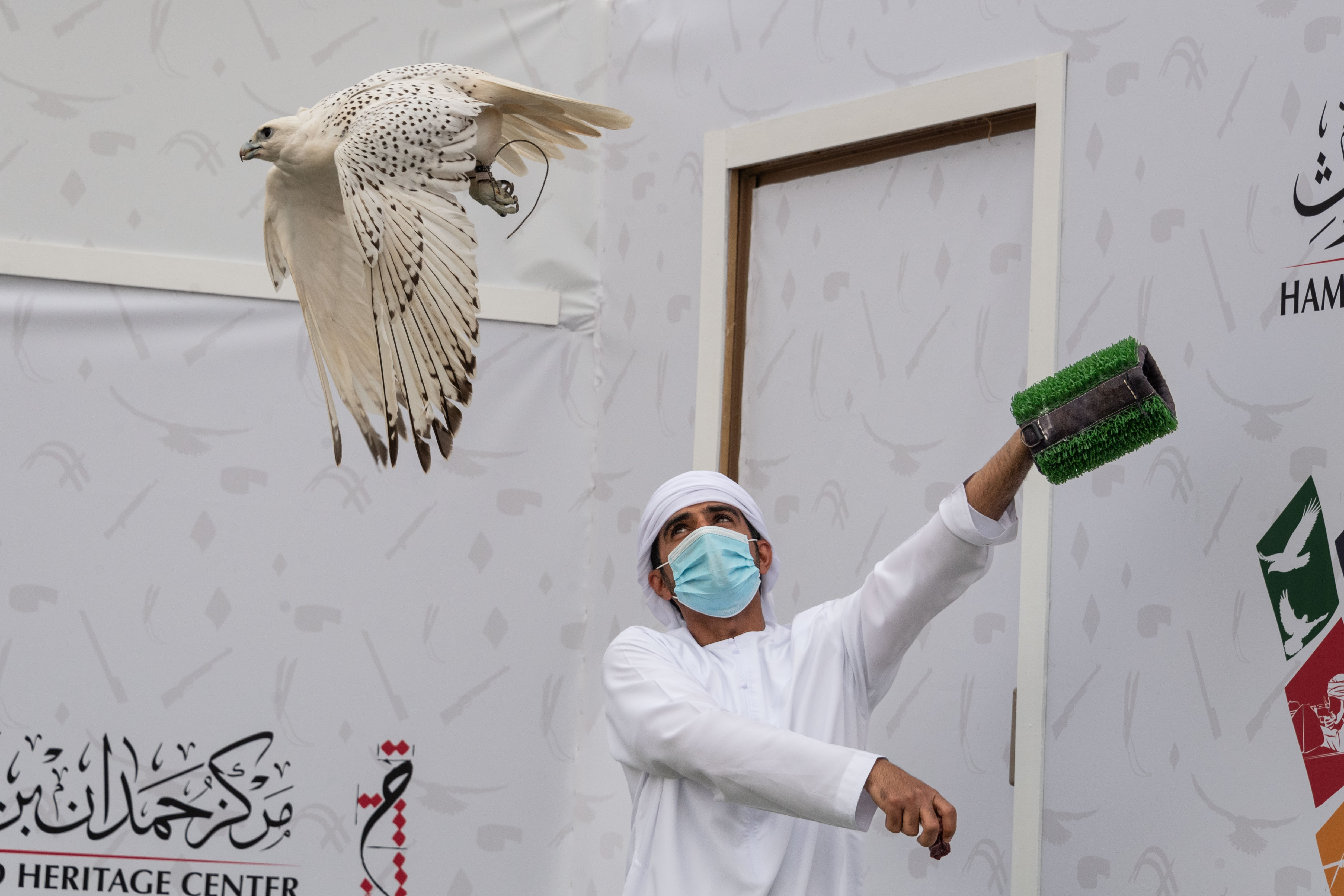 بطولة فزاع للصيد بالصقور تترقب حسم منافسات للعامة مُلاك