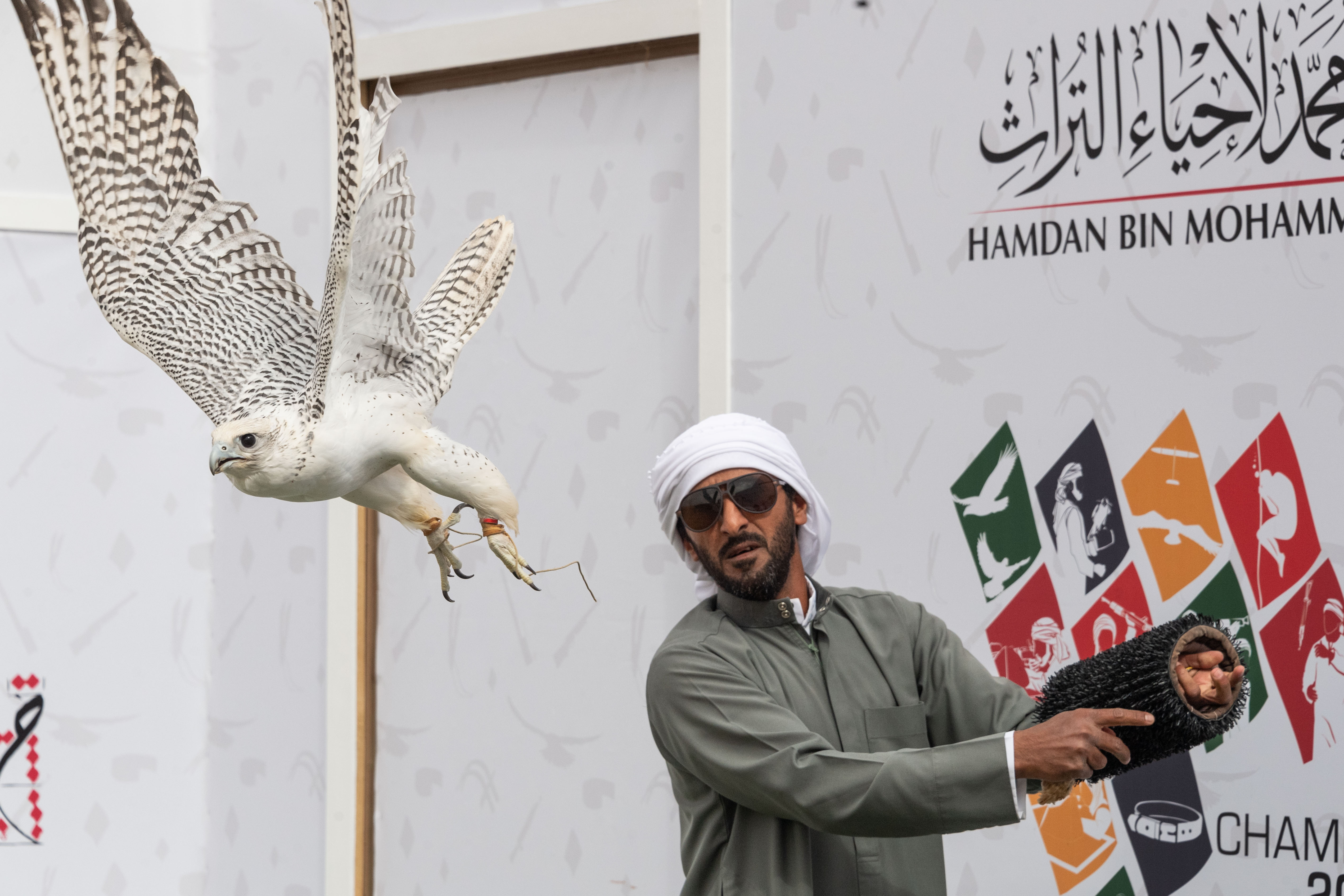 بطولة فزاع للصيد بالصقور تترقب حسم منافسات للعامة مُلاك