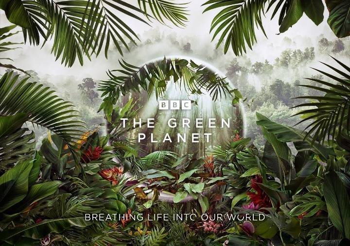 بي بي سي إيرث تعلن عن سلسلة وثائقية جديدة مع السير ديفيد أتينبورو