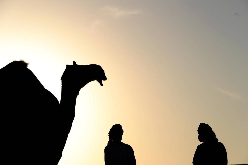 مسابقات وفعاليات مهرجان الظفرة بدورته 15 تنطلق 12 يناير  الجاري