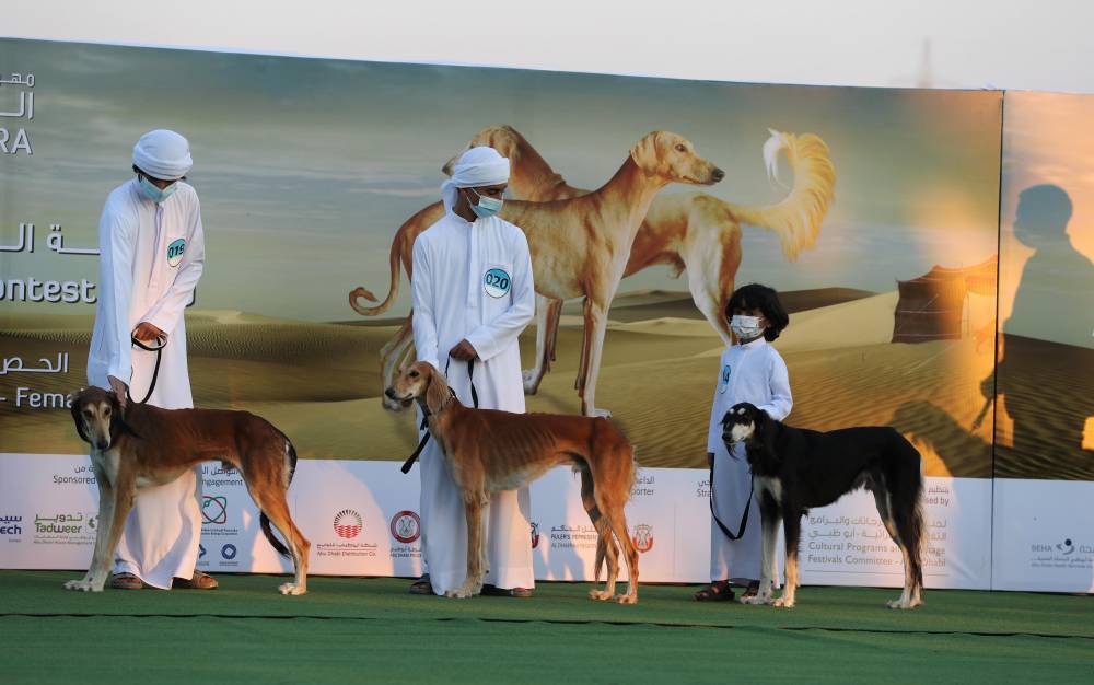 مسابقات وفعاليات مهرجان الظفرة بدورته 15 تنطلق 12 يناير  الجاري