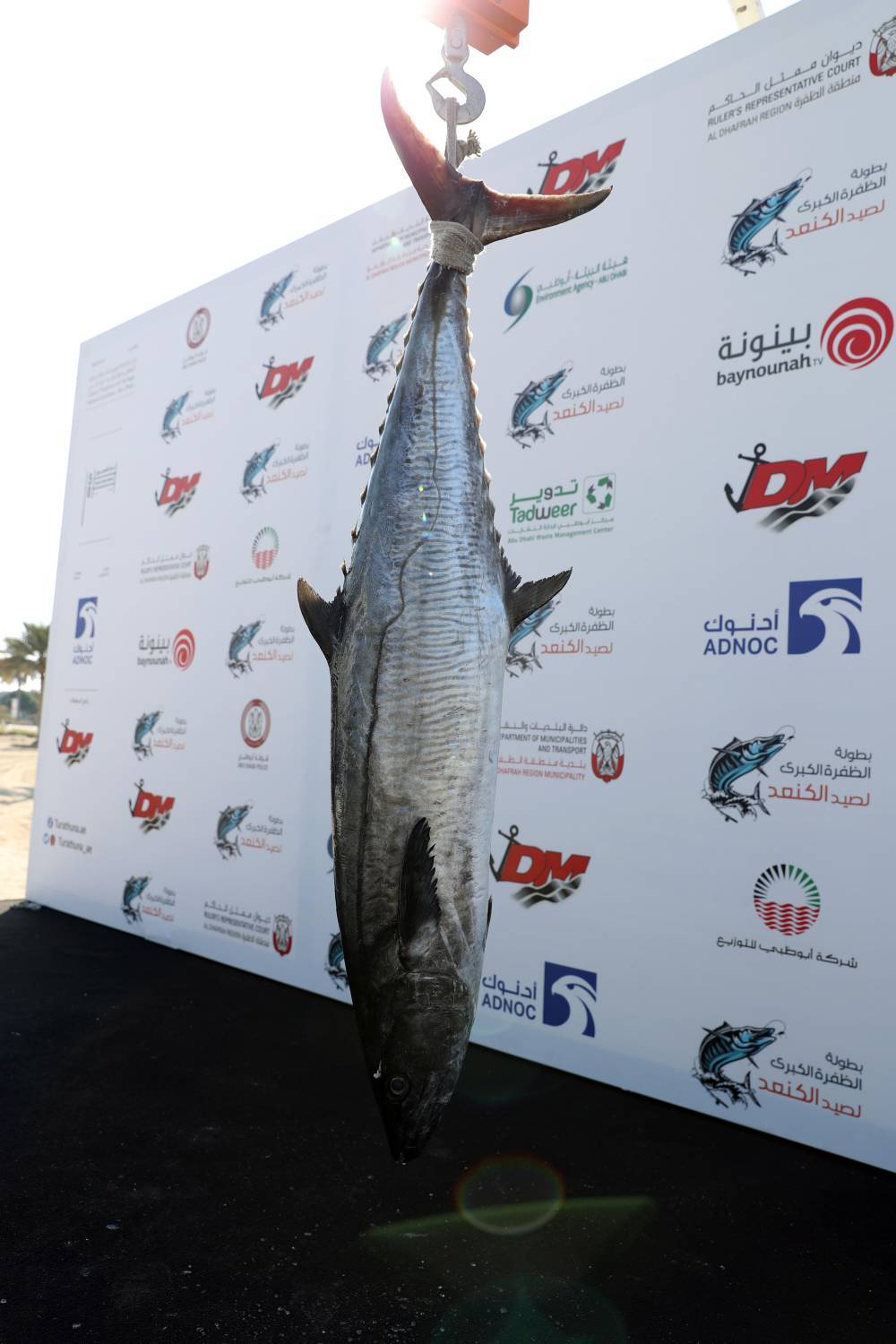 بطولة المغيرة ضمن بطولة الظفرة الكبرى لصيد الكنعد تسجل 434 مشارك