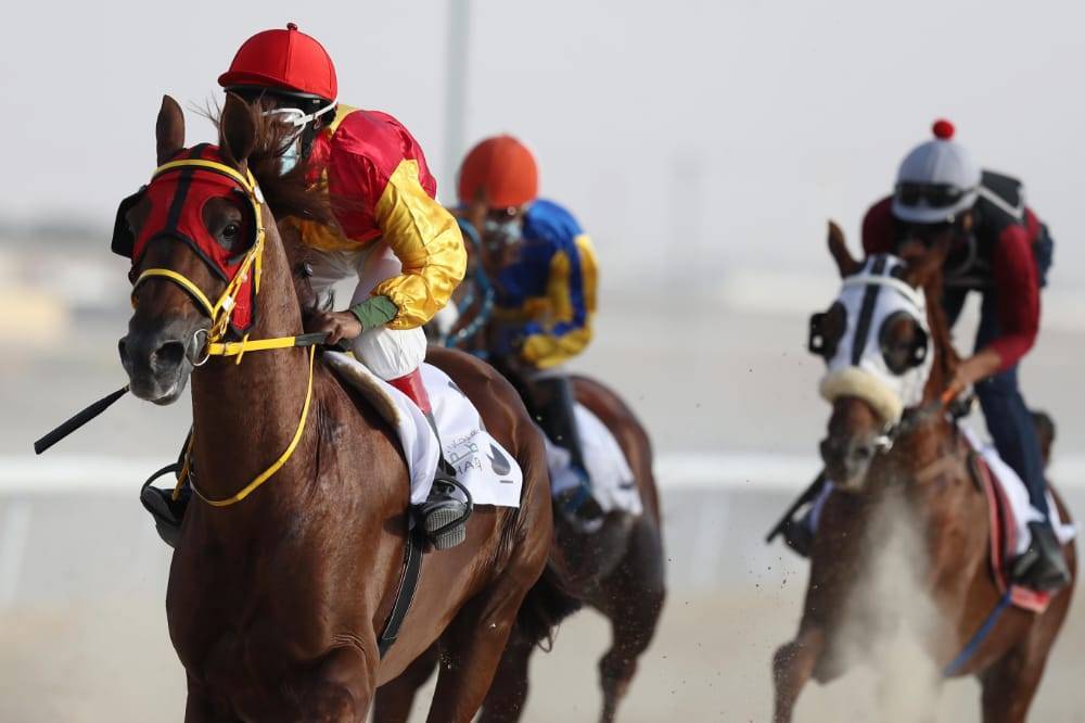 تحت رعاية محمد بن زايد.. مهرجان الظفرة (15) ينطلق غداً